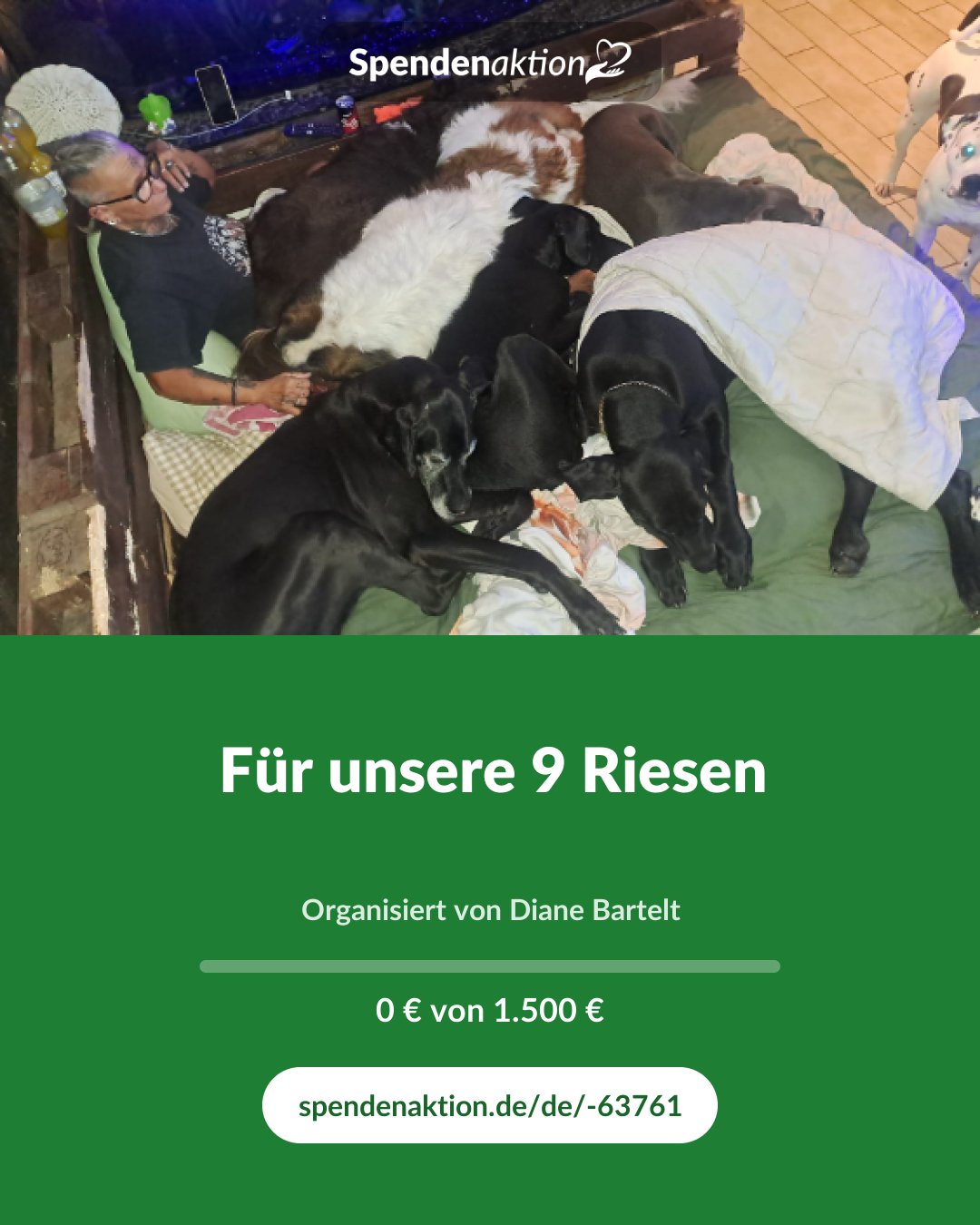 Vorschau des Bildes