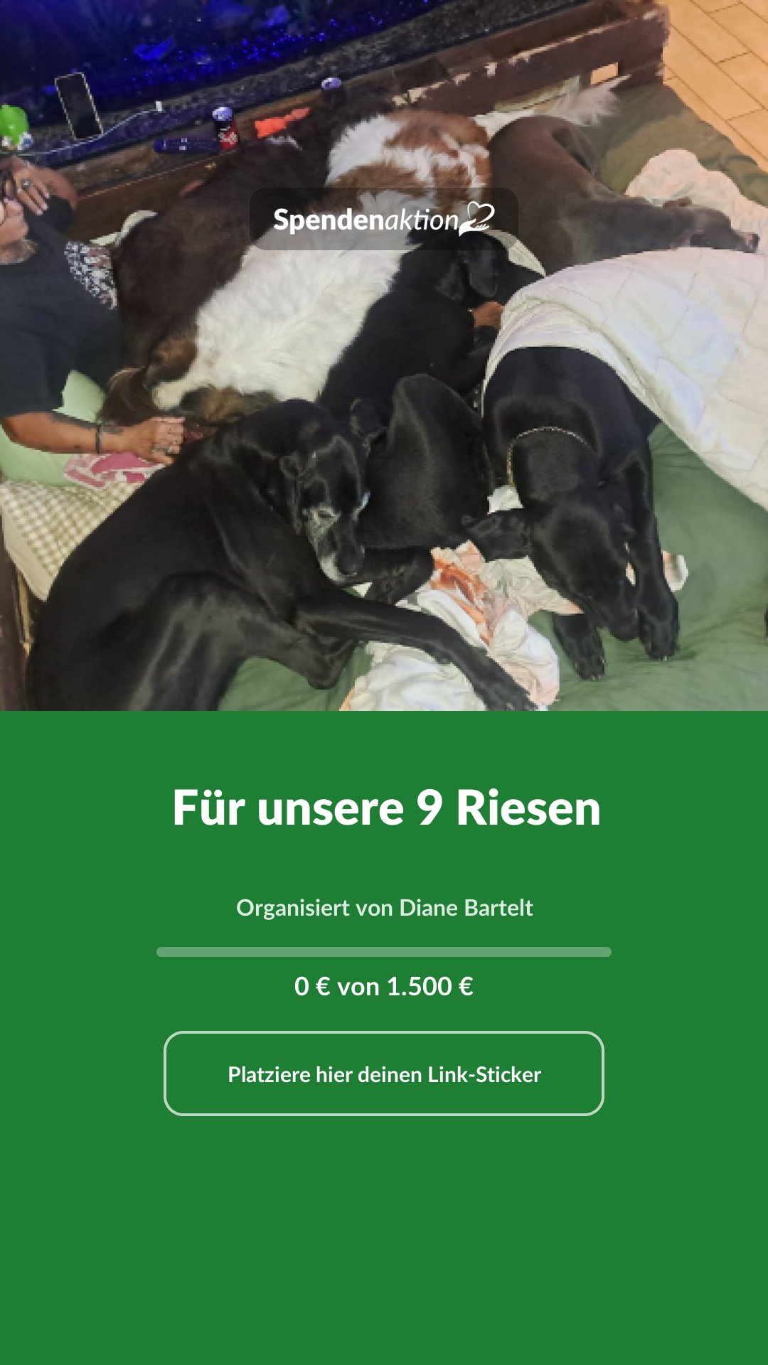 Vorschau des Bildes