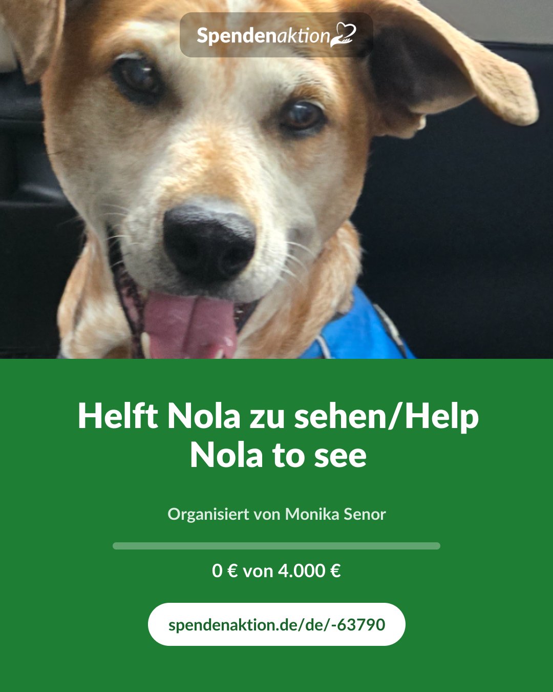 Vorschau des Bildes
