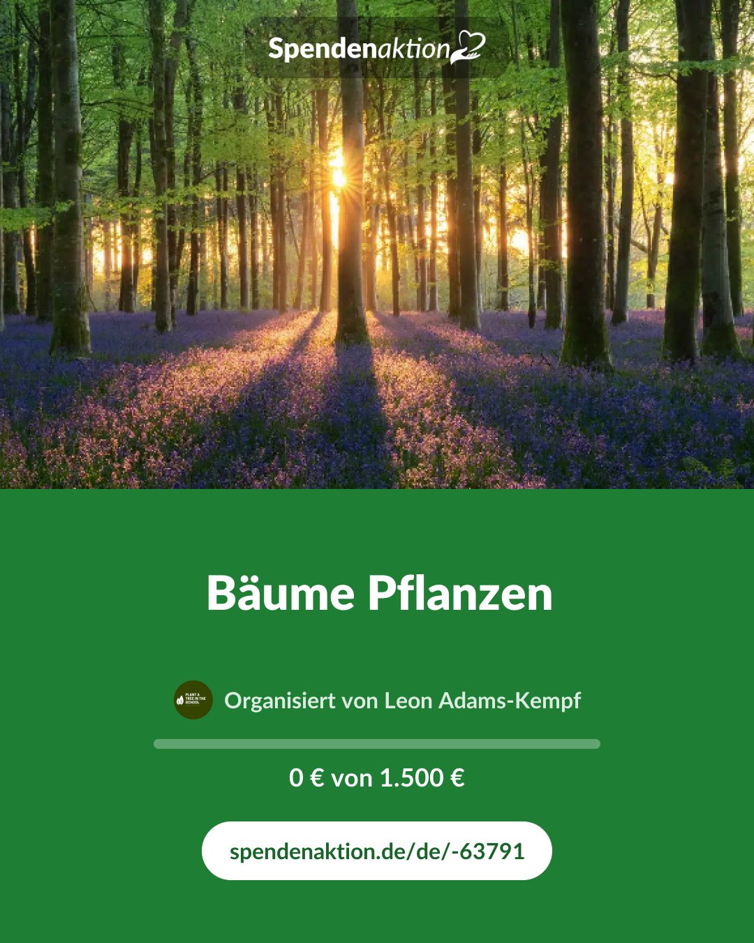 Vorschau des Bildes