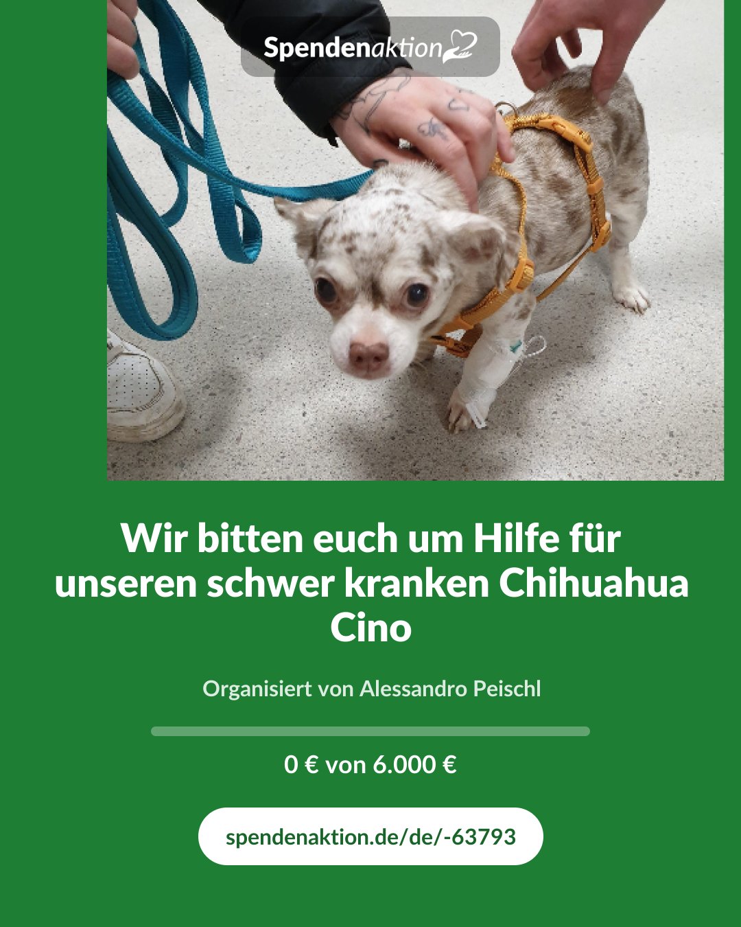 Vorschau des Bildes
