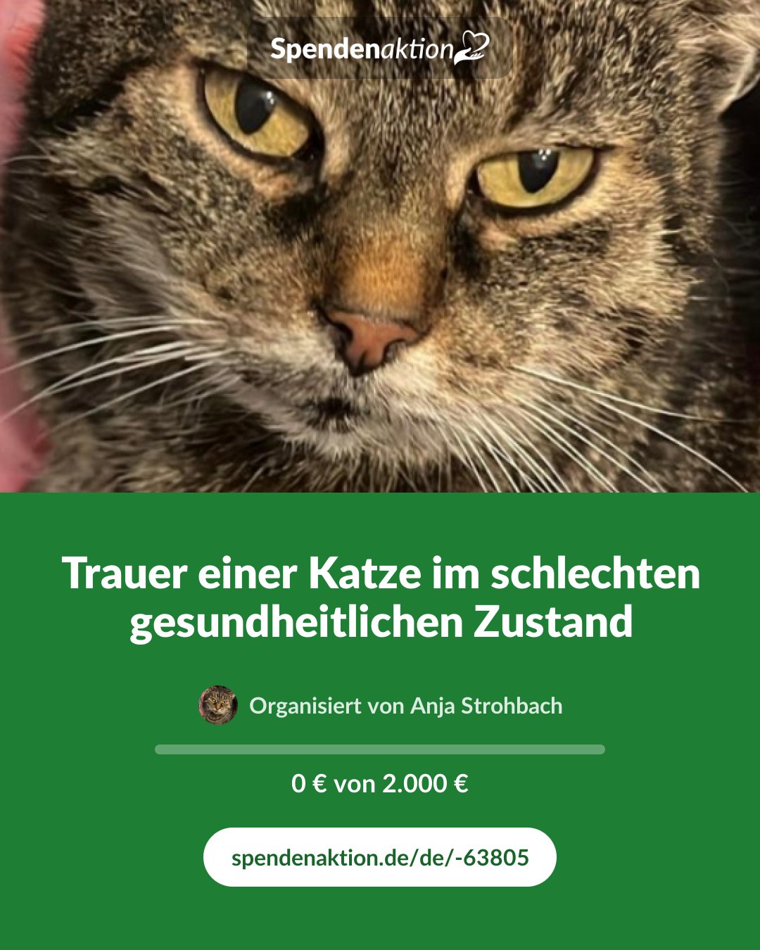 Vorschau des Bildes