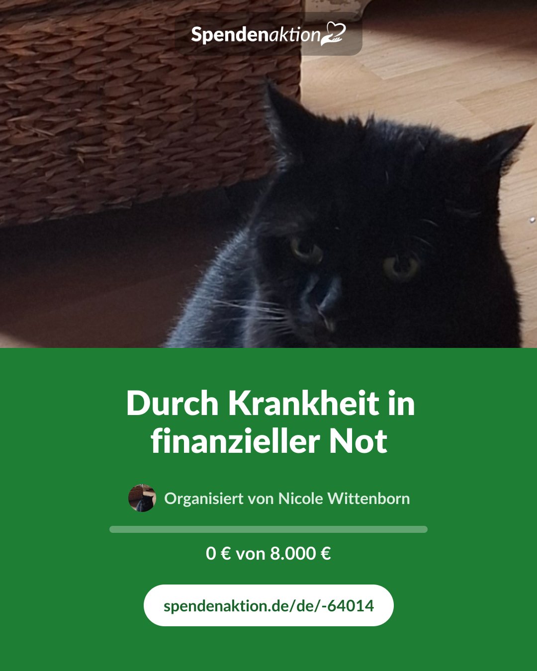 Vorschau des Bildes
