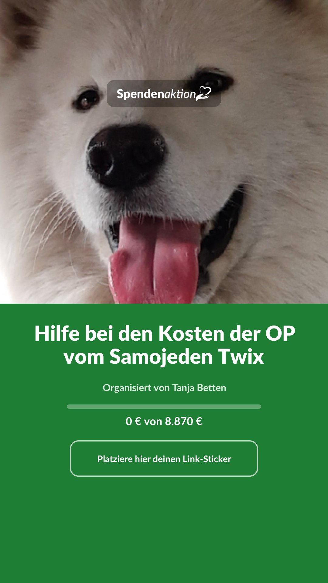Vorschau des Bildes