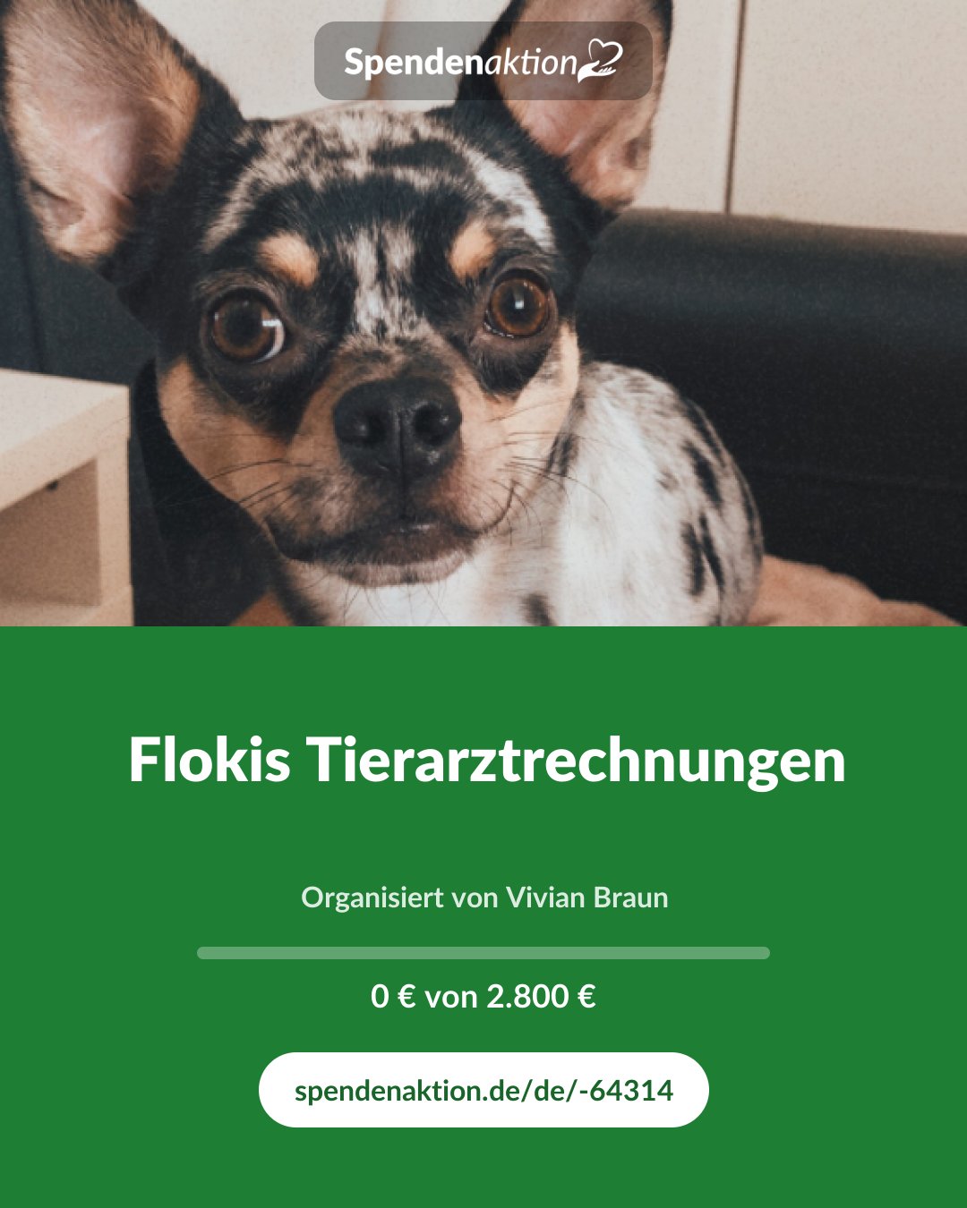 Vorschau des Bildes