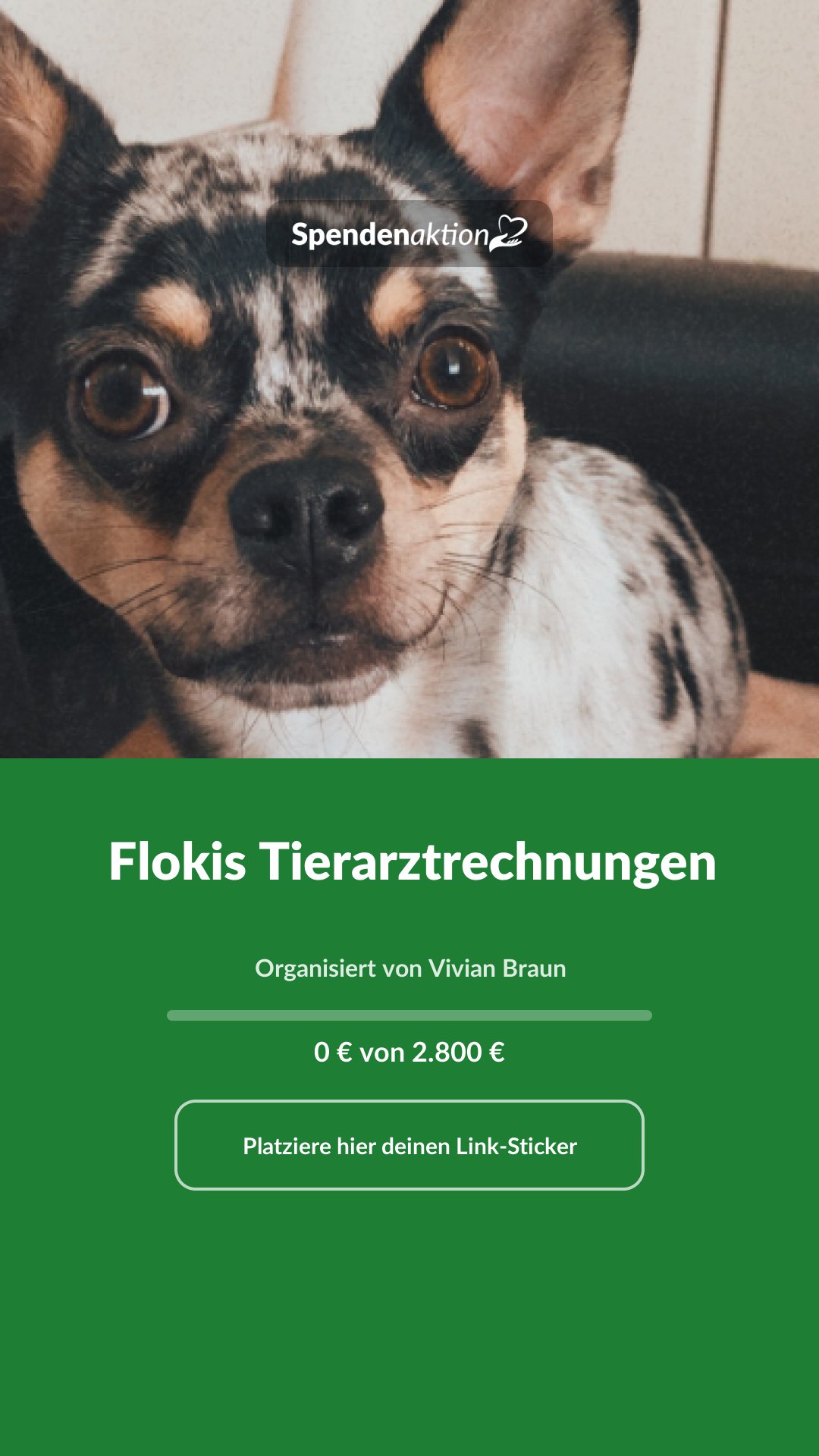 Vorschau des Bildes