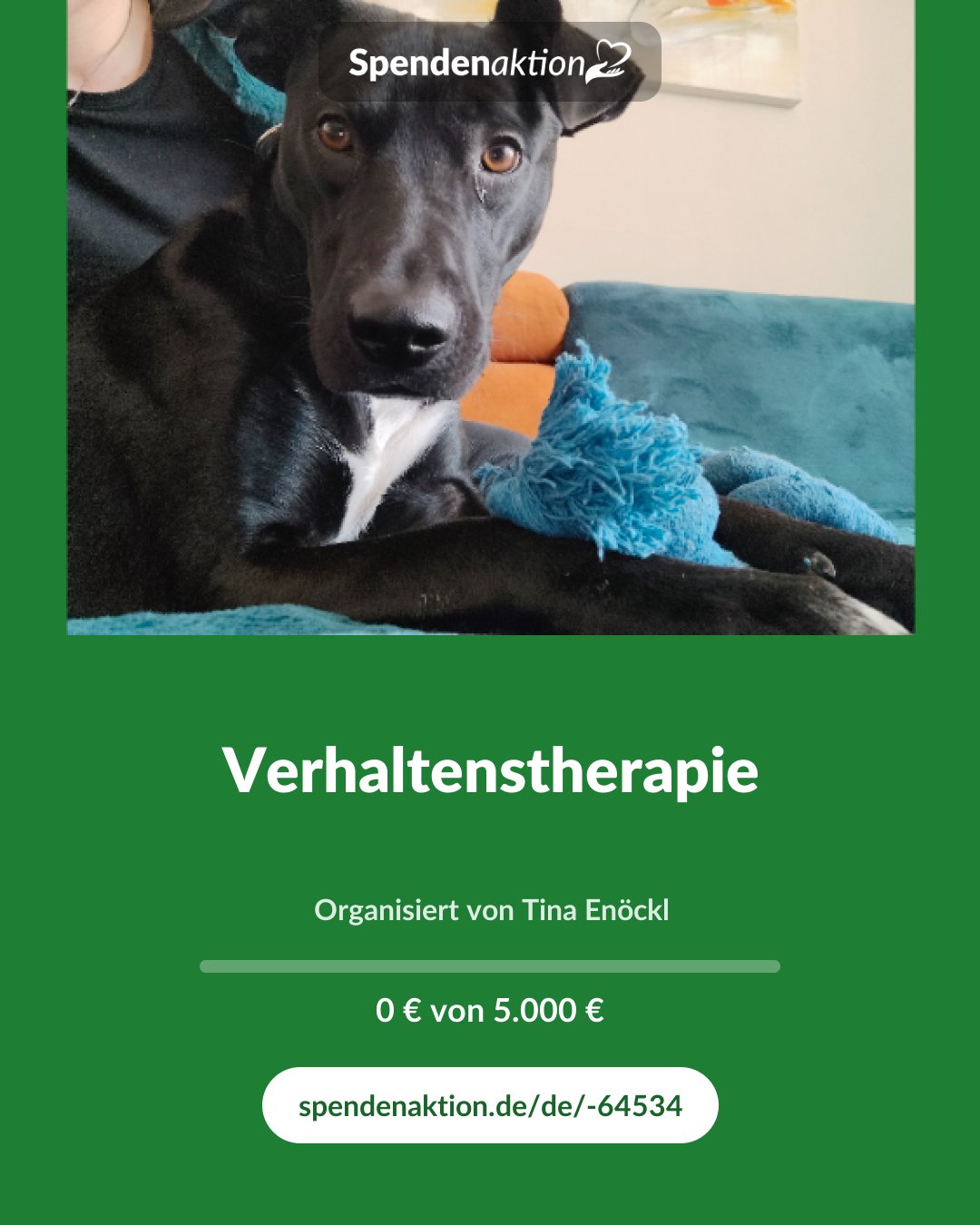 Vorschau des Bildes