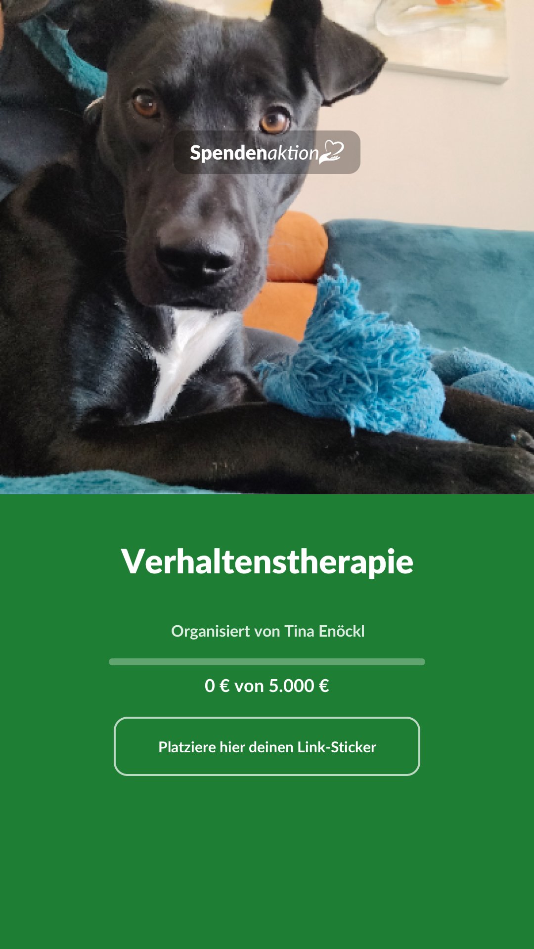 Vorschau des Bildes