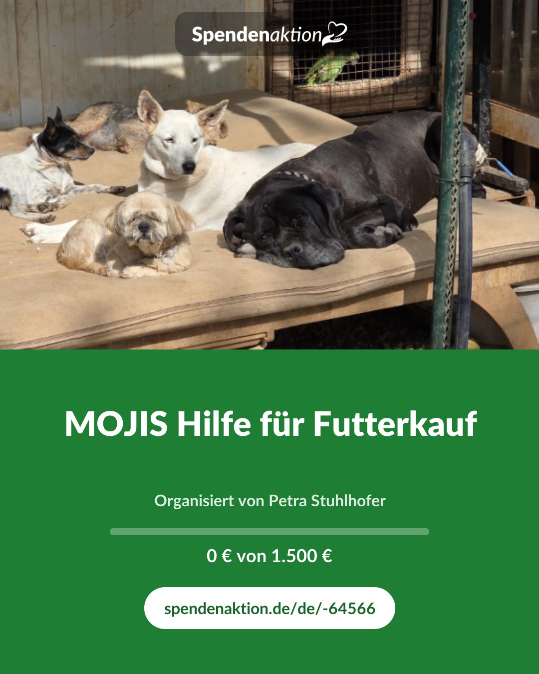 Vorschau des Bildes
