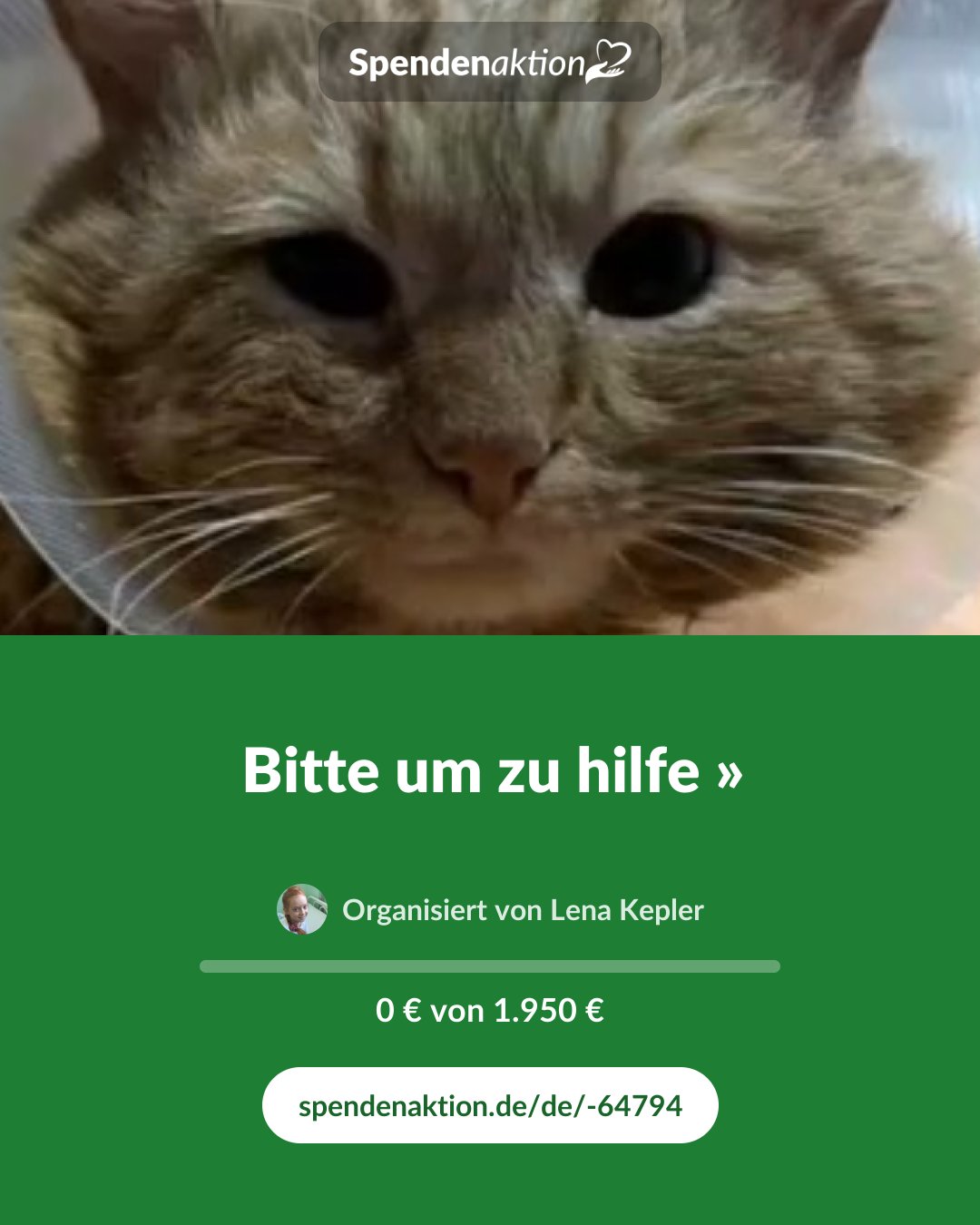 Vorschau des Bildes