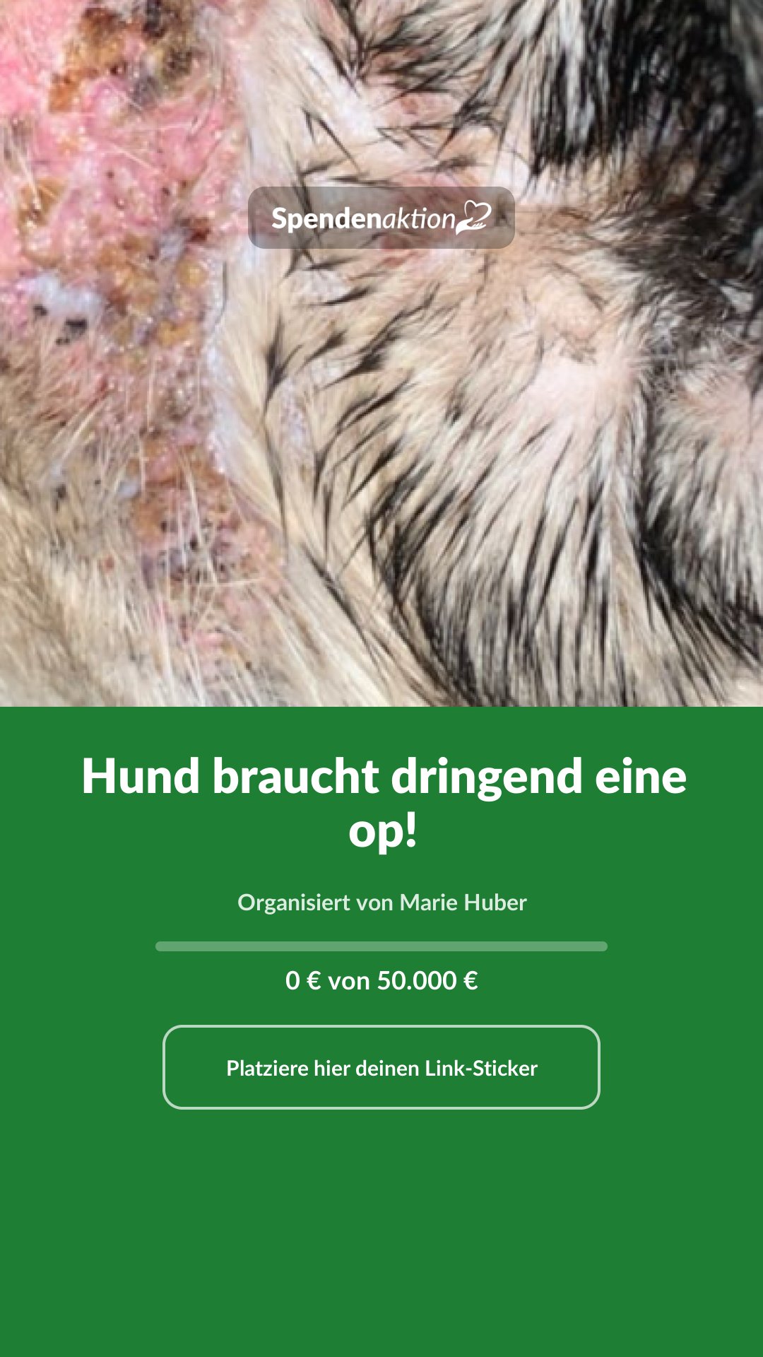 Vorschau des Bildes