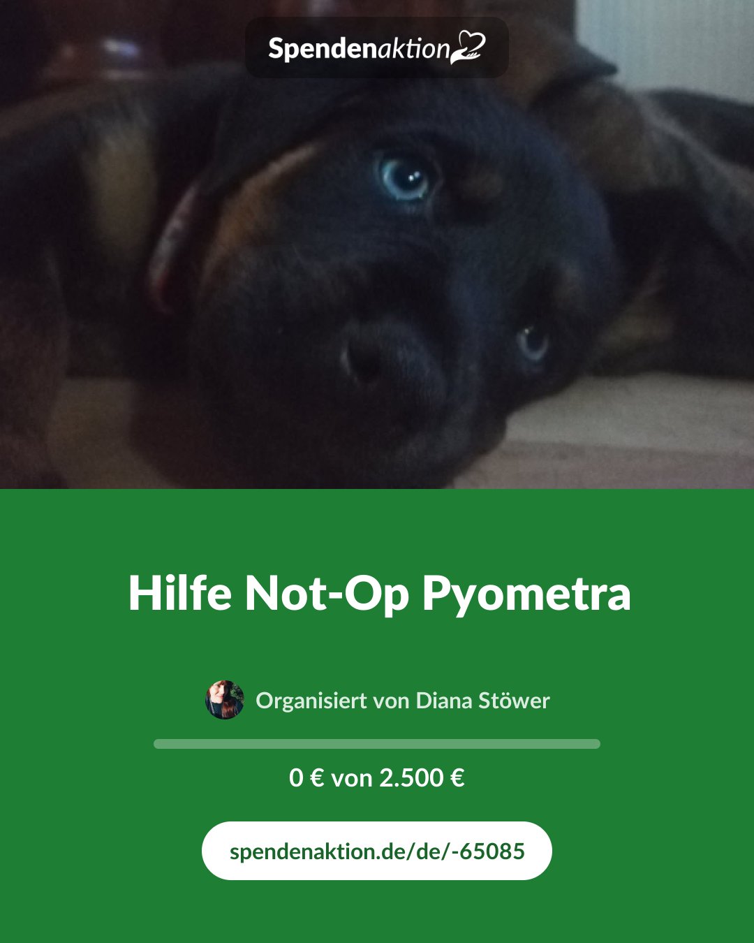 Vorschau des Bildes