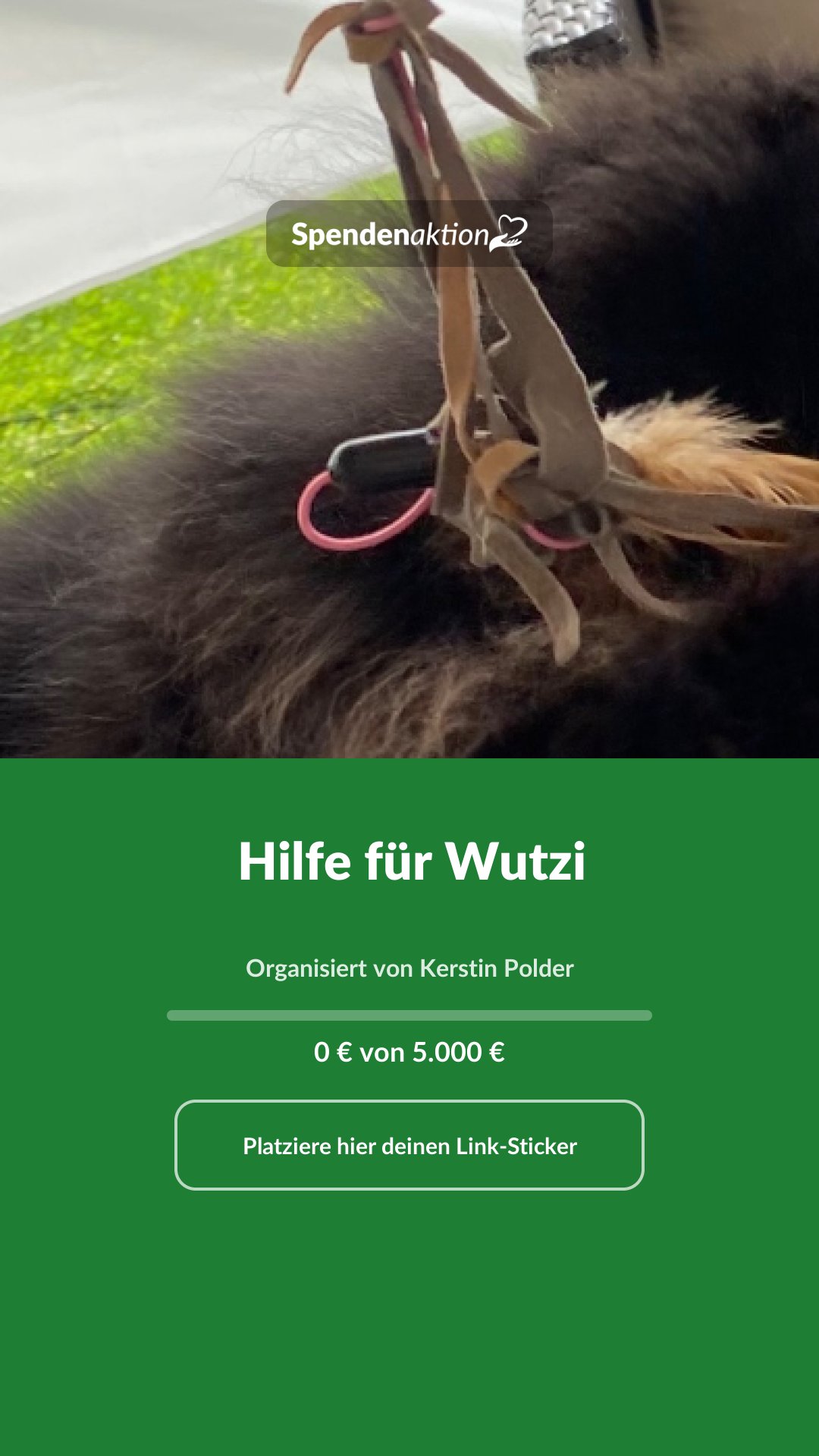 Vorschau des Bildes