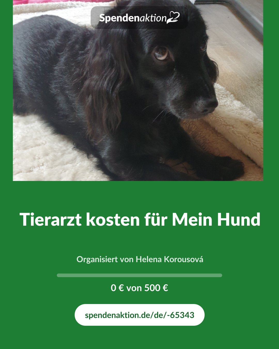 Vorschau des Bildes