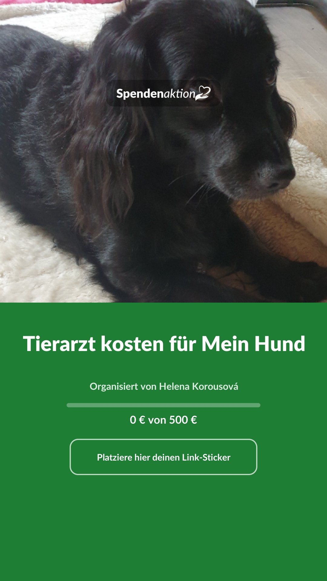Vorschau des Bildes