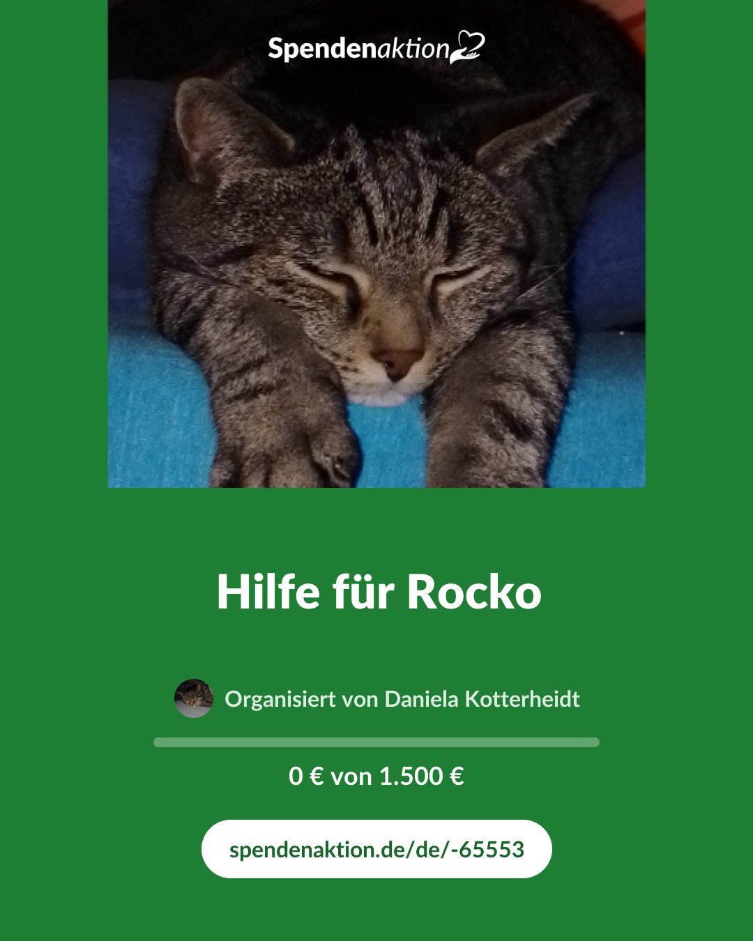 Vorschau des Bildes