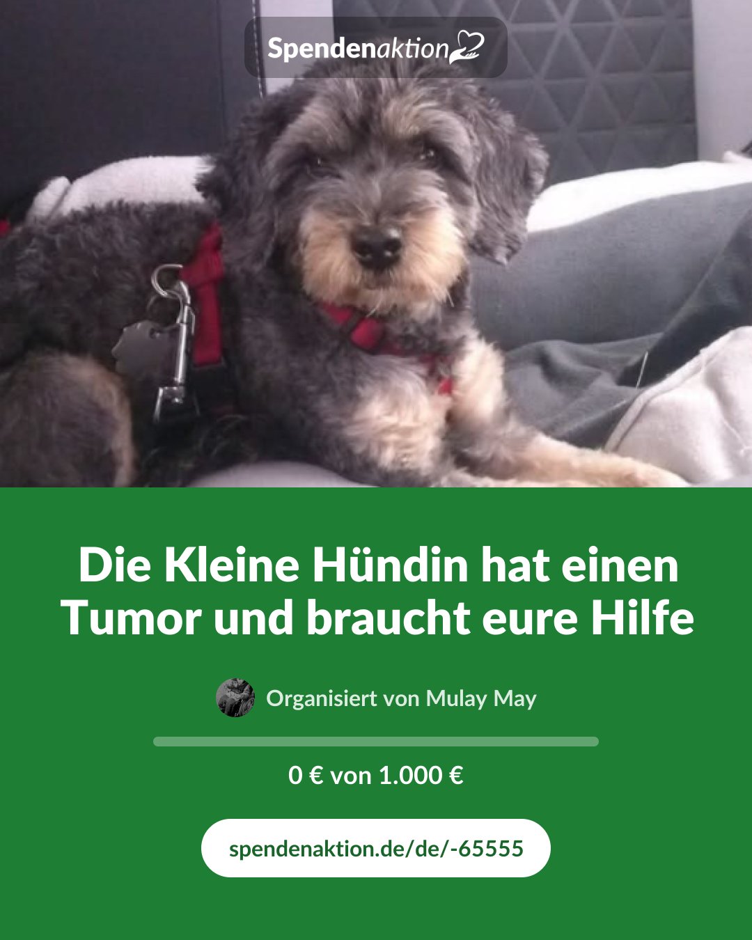 Vorschau des Bildes