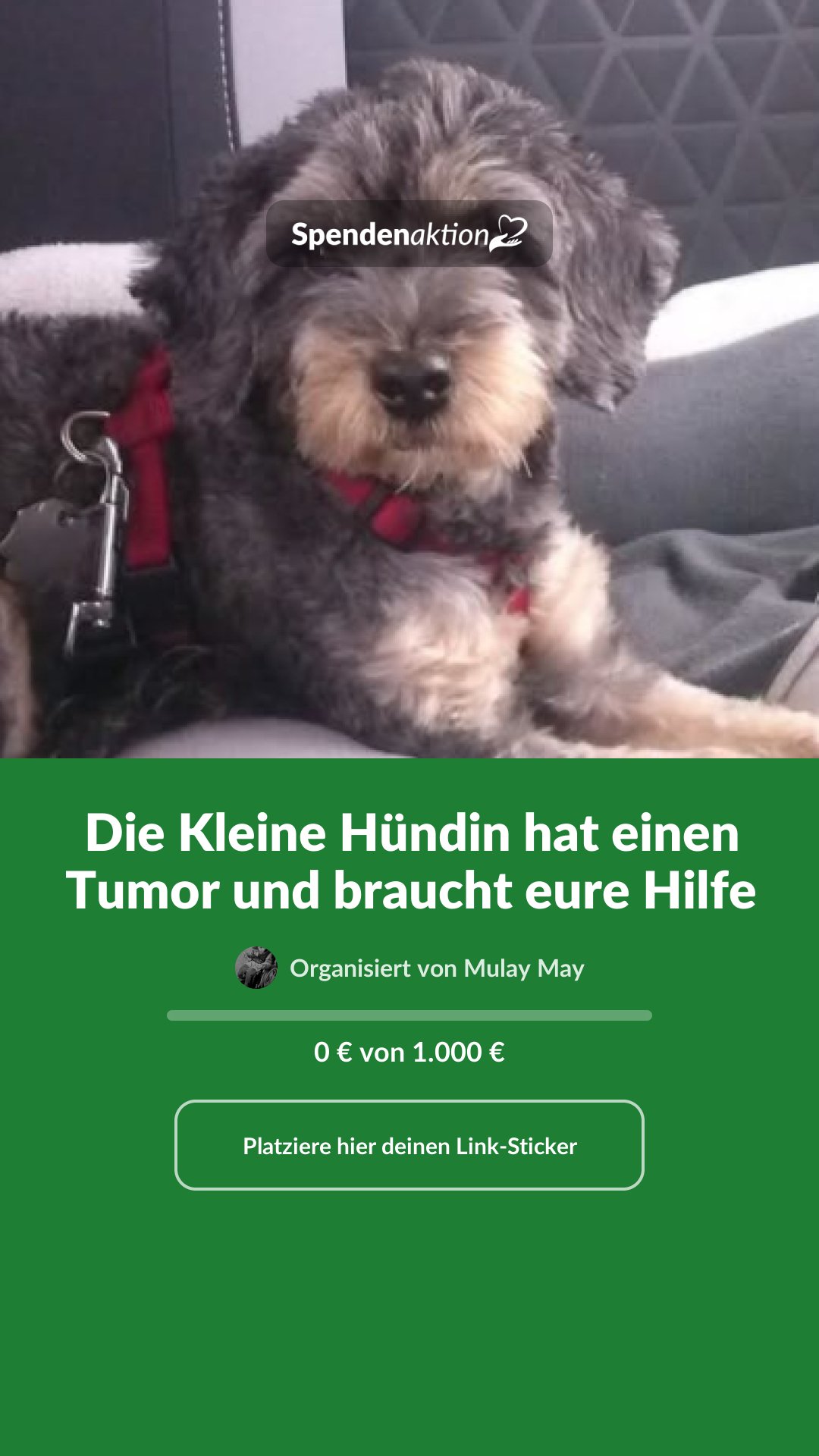 Vorschau des Bildes