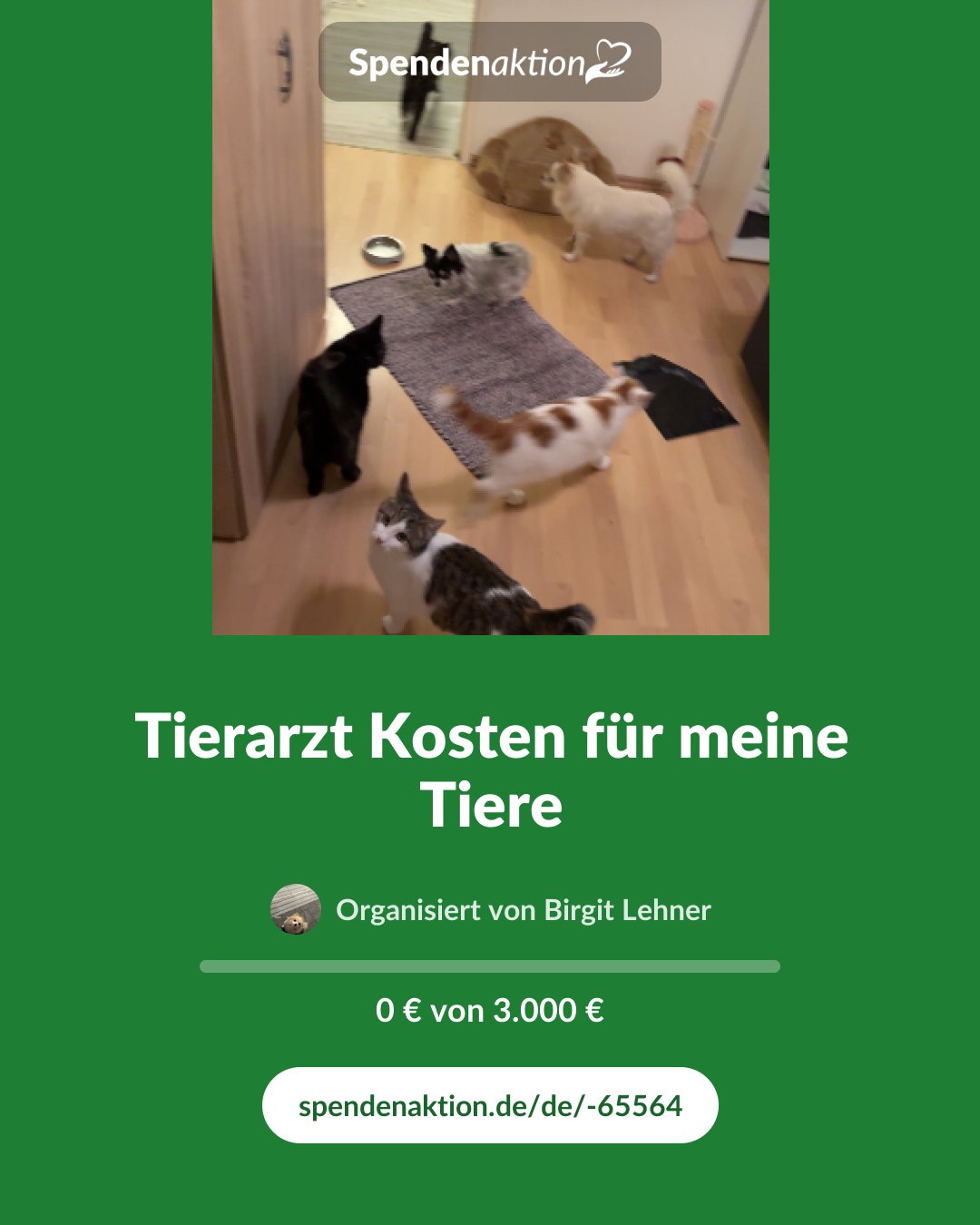 Vorschau des Bildes