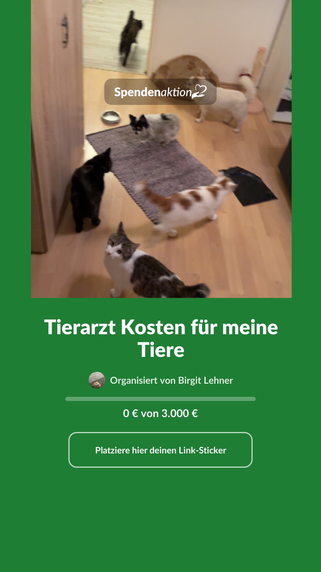 Vorschau des Bildes