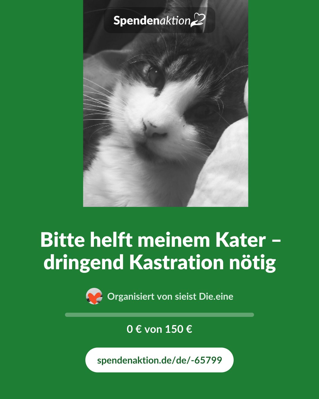 Vorschau des Bildes