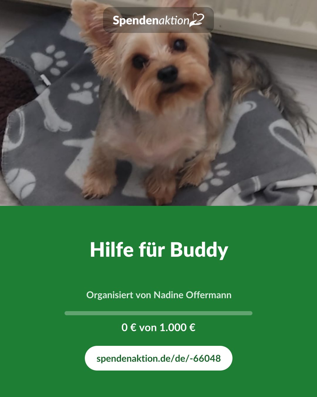 Vorschau des Bildes