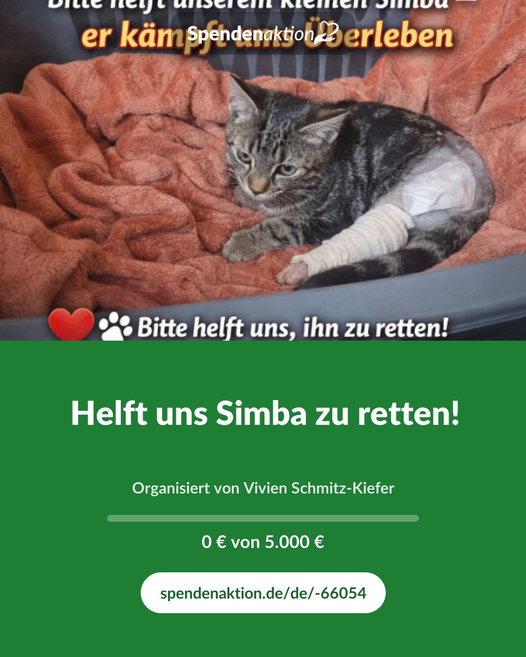 Vorschau des Bildes