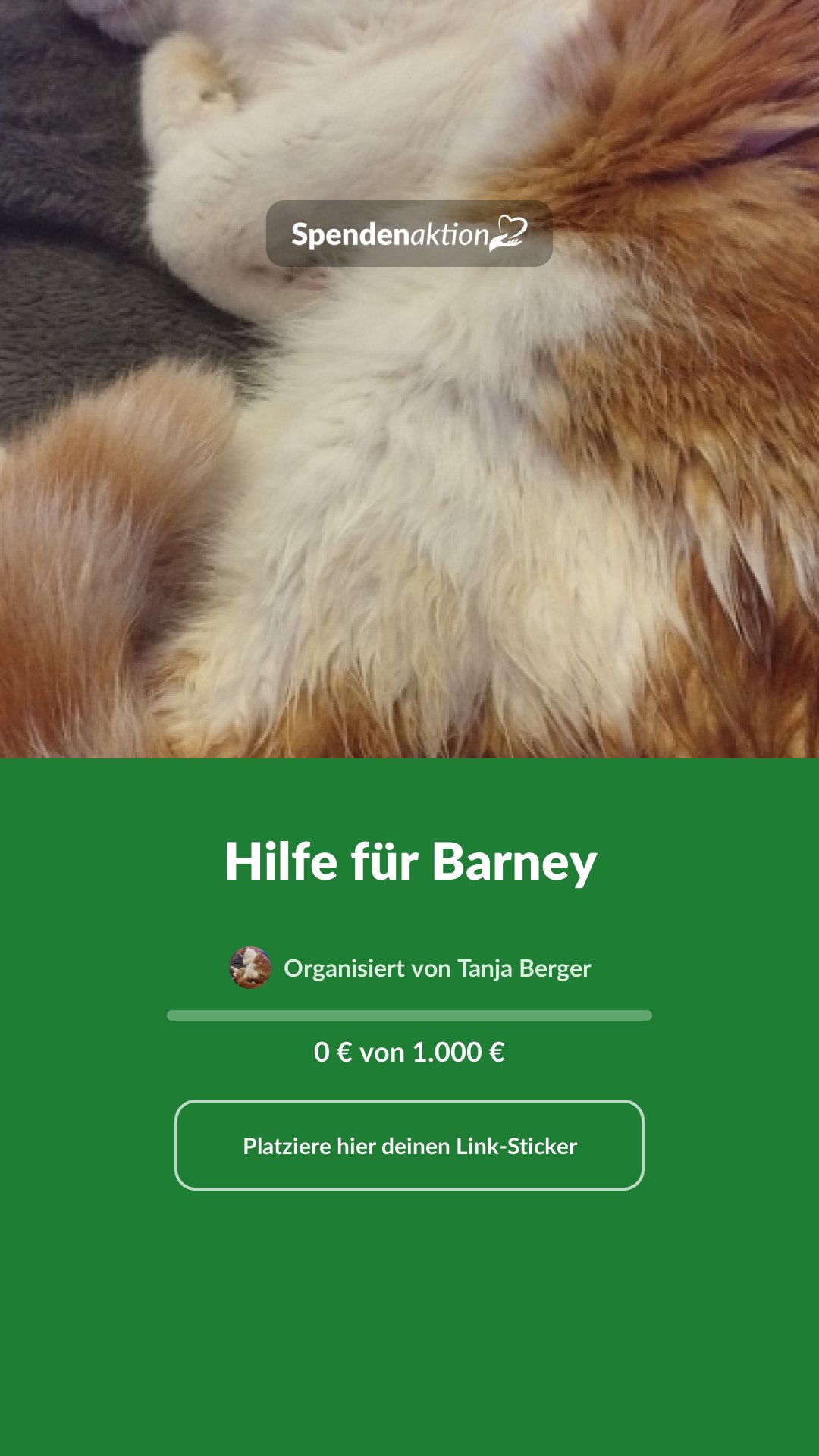 Vorschau des Bildes