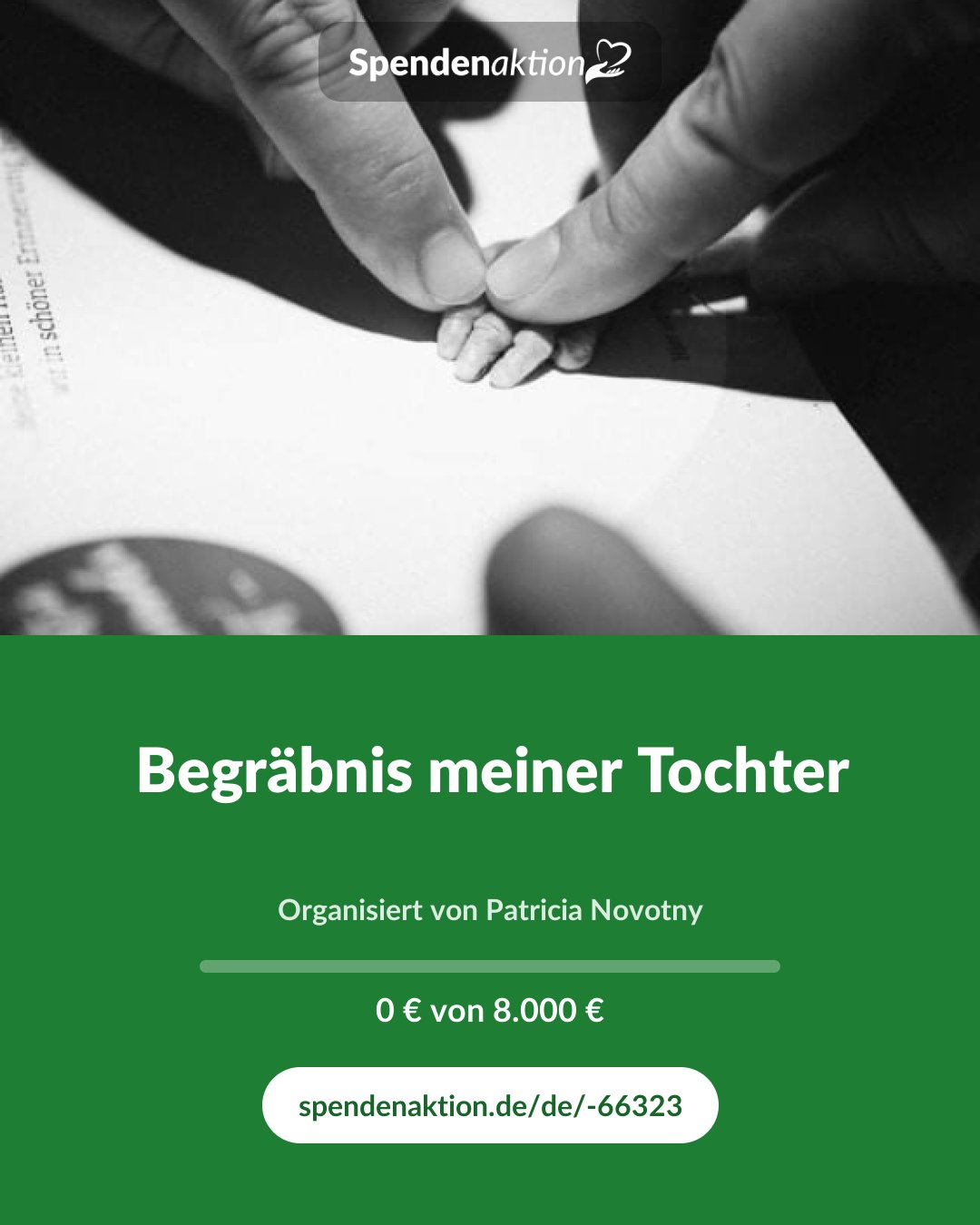 Vorschau des Bildes