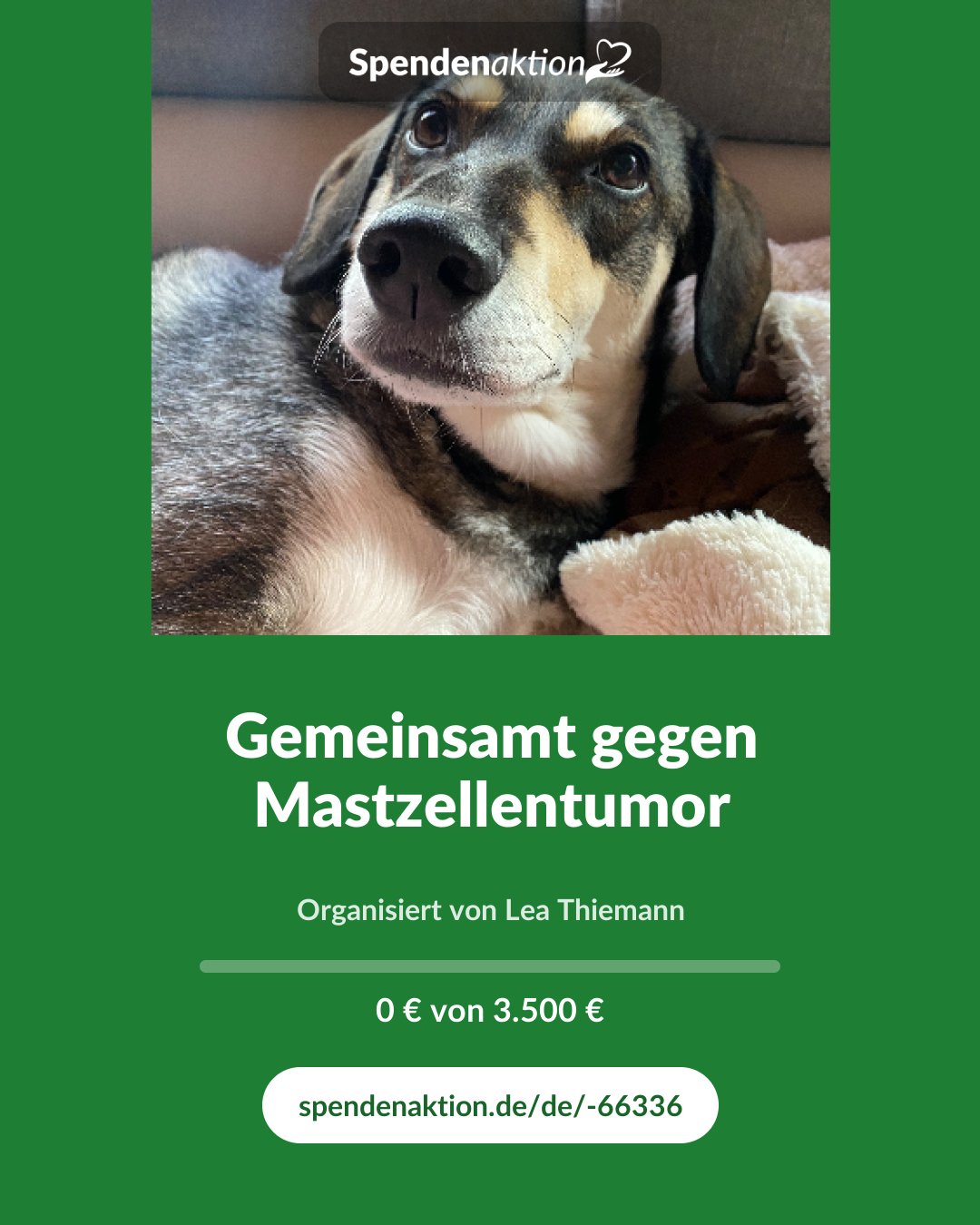 Vorschau des Bildes