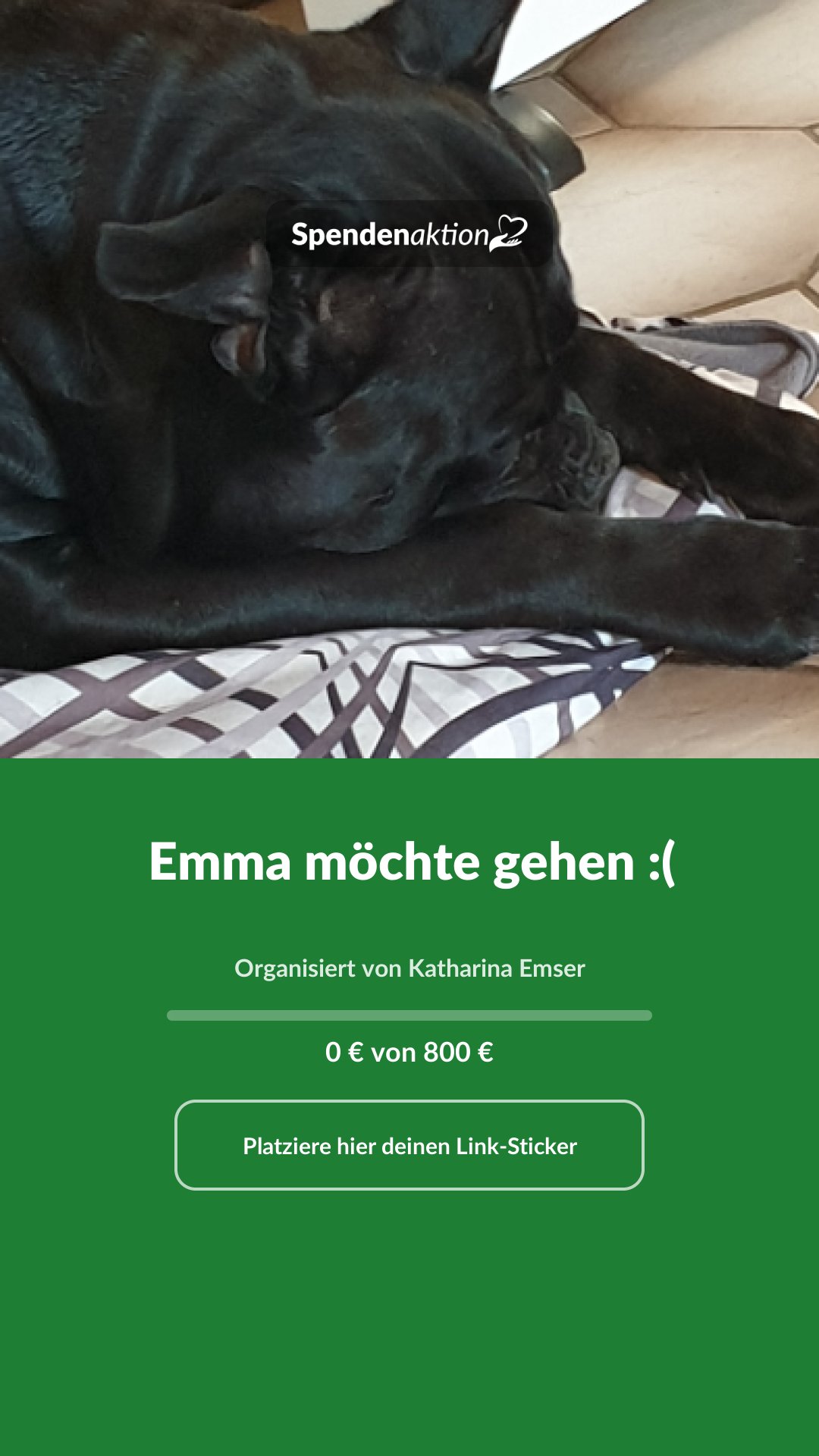 Vorschau des Bildes