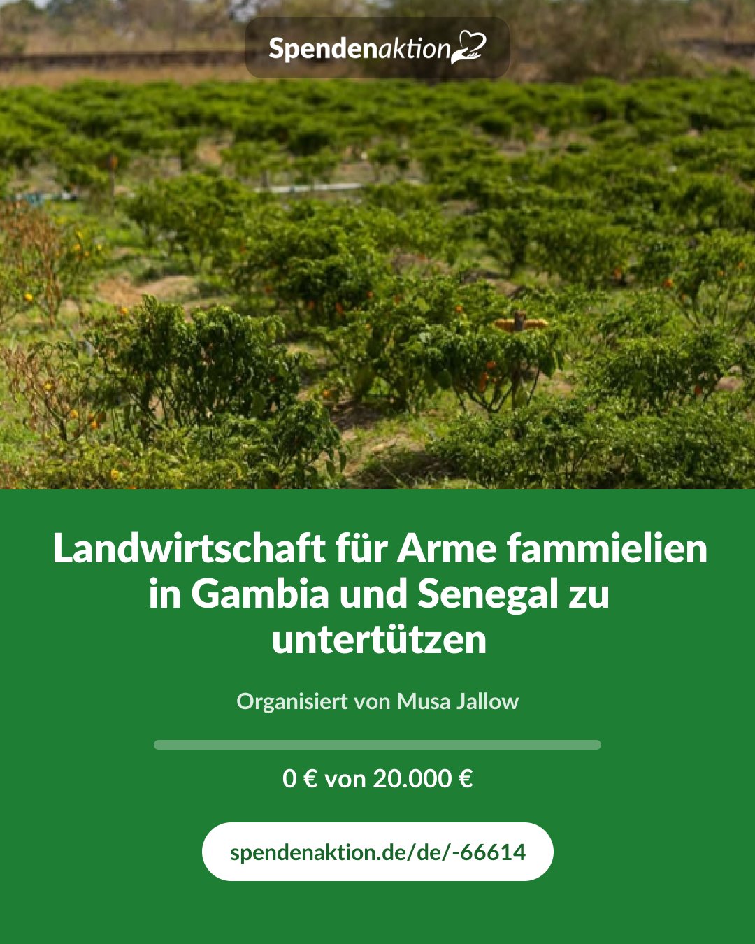 Vorschau des Bildes