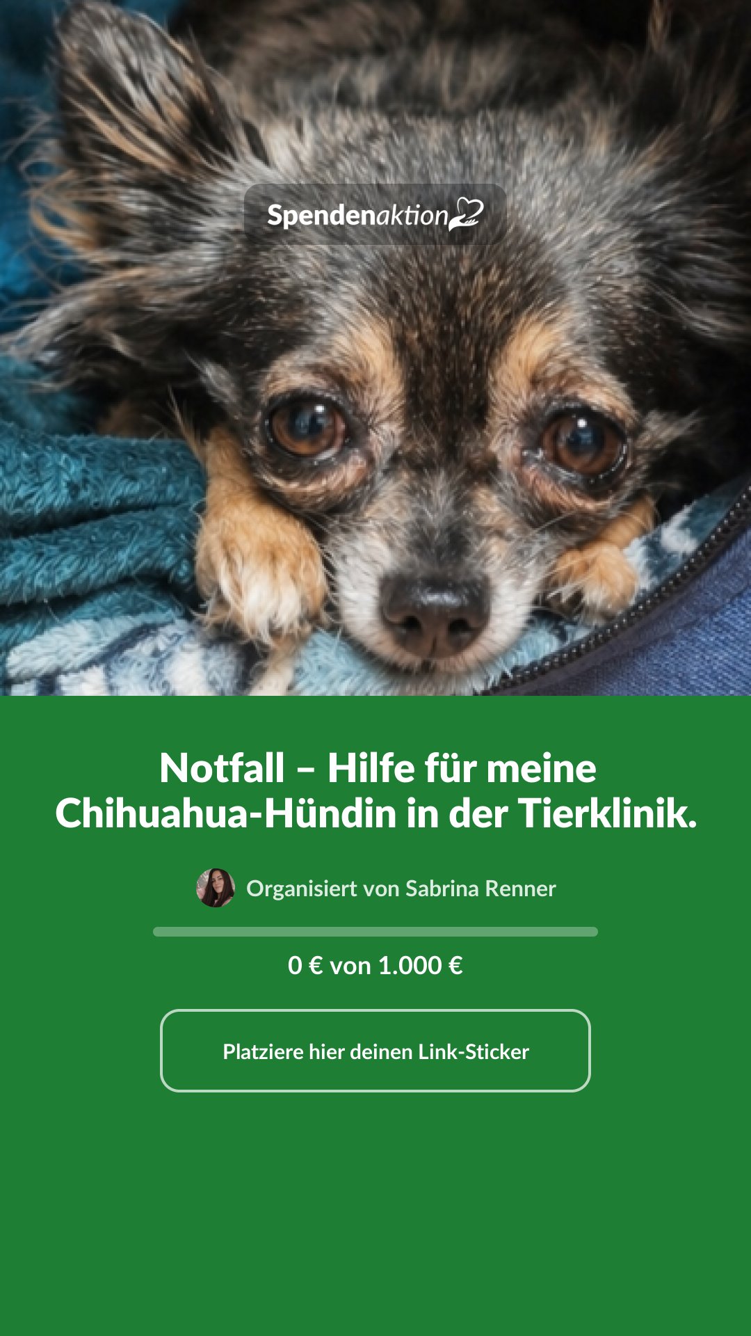 Vorschau des Bildes