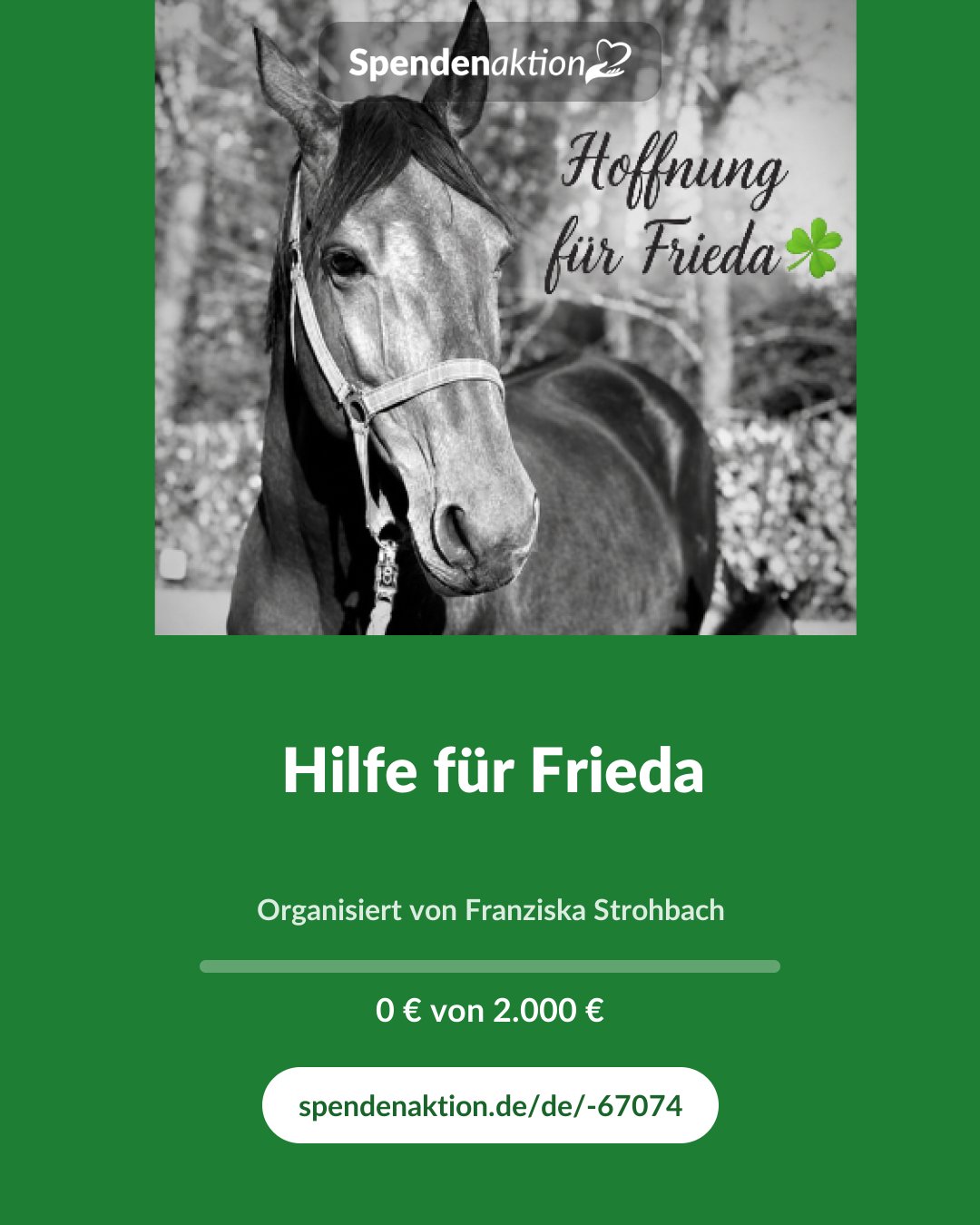Vorschau des Bildes