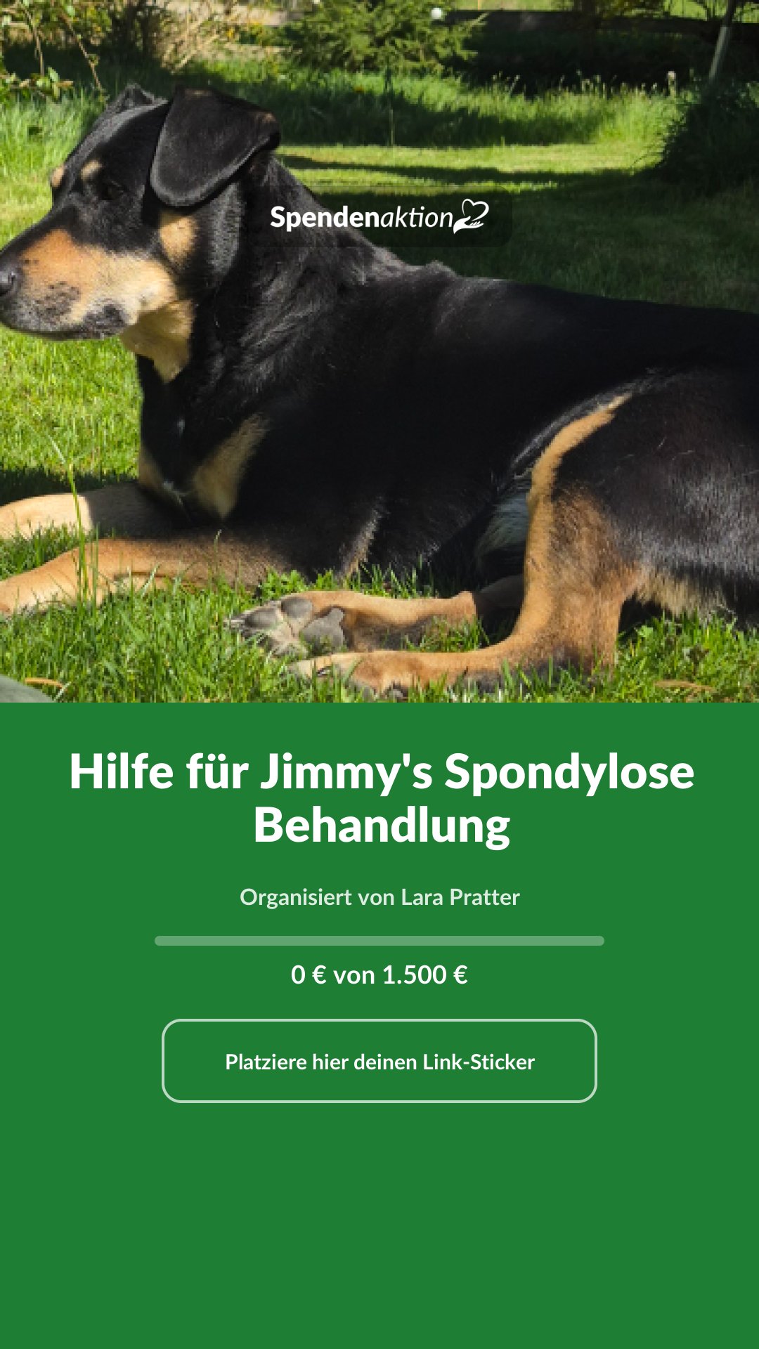 Vorschau des Bildes