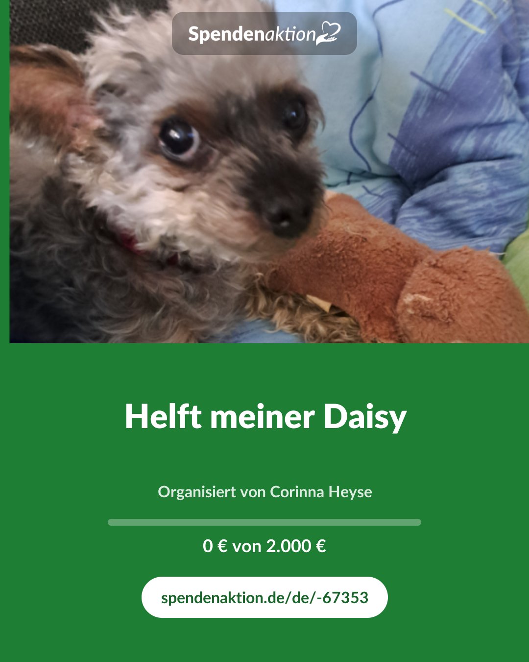 Vorschau des Bildes