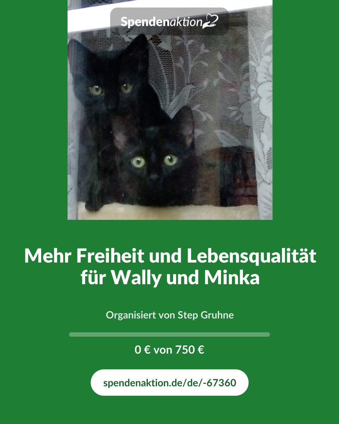 Vorschau des Bildes