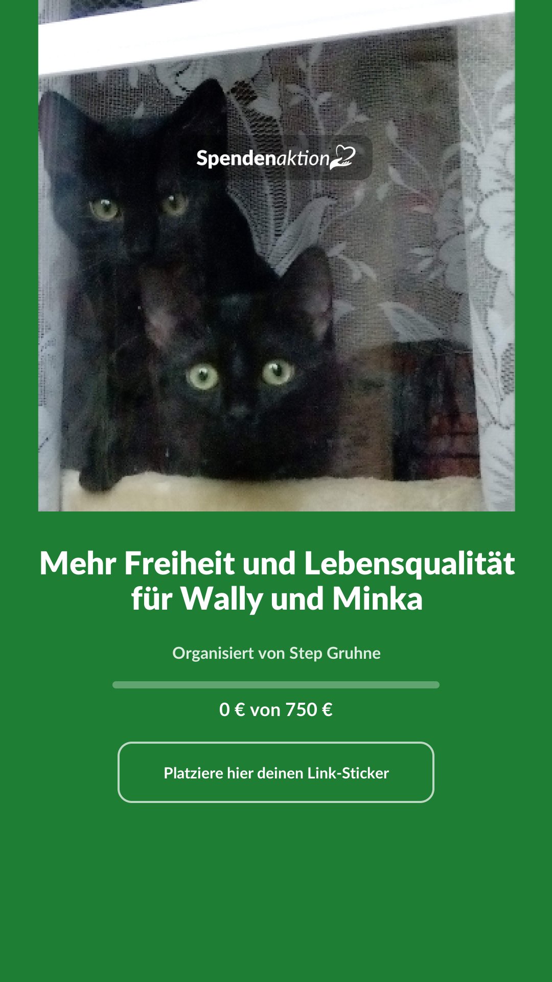 Vorschau des Bildes