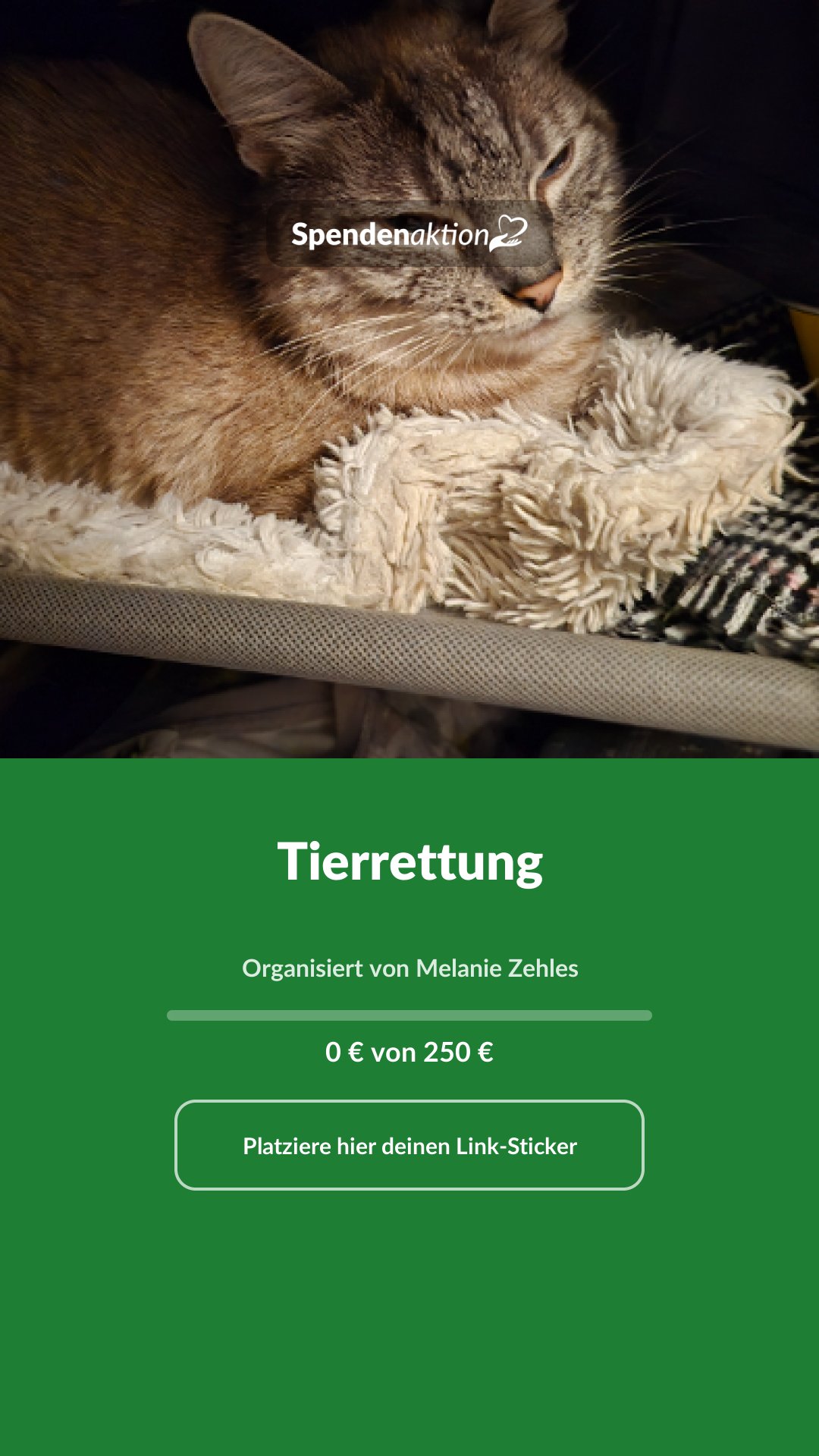 Vorschau des Bildes