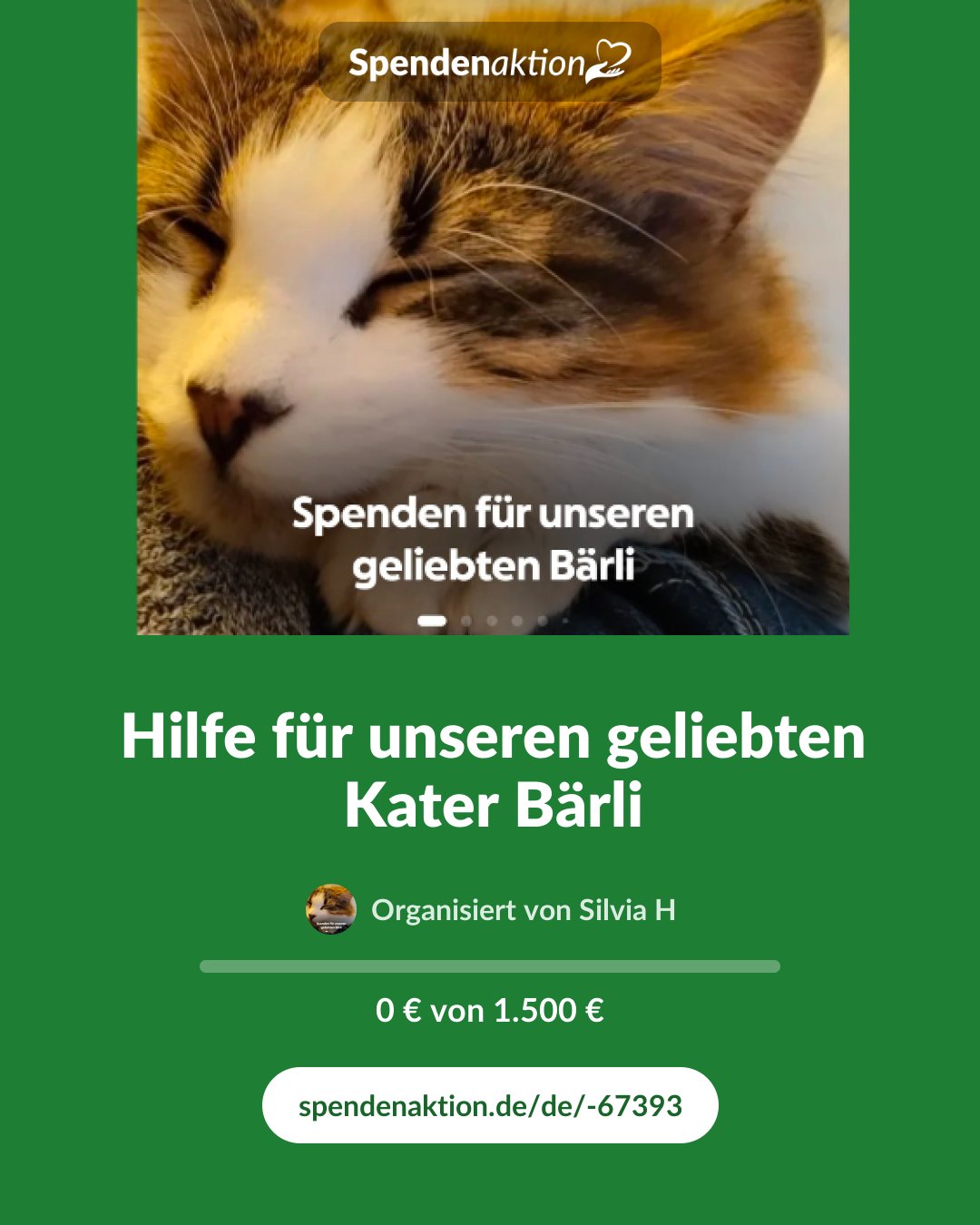 Vorschau des Bildes