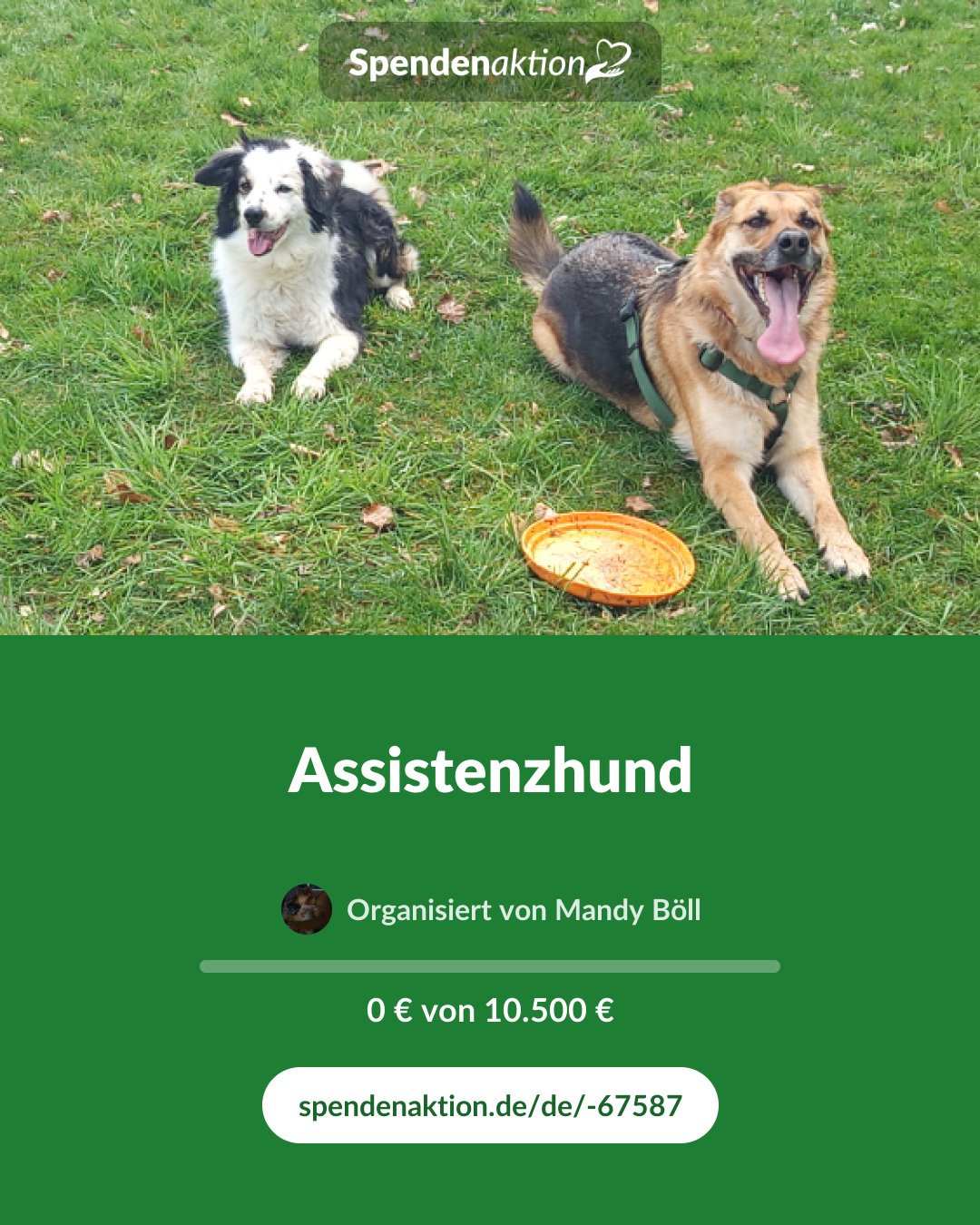 Vorschau des Bildes