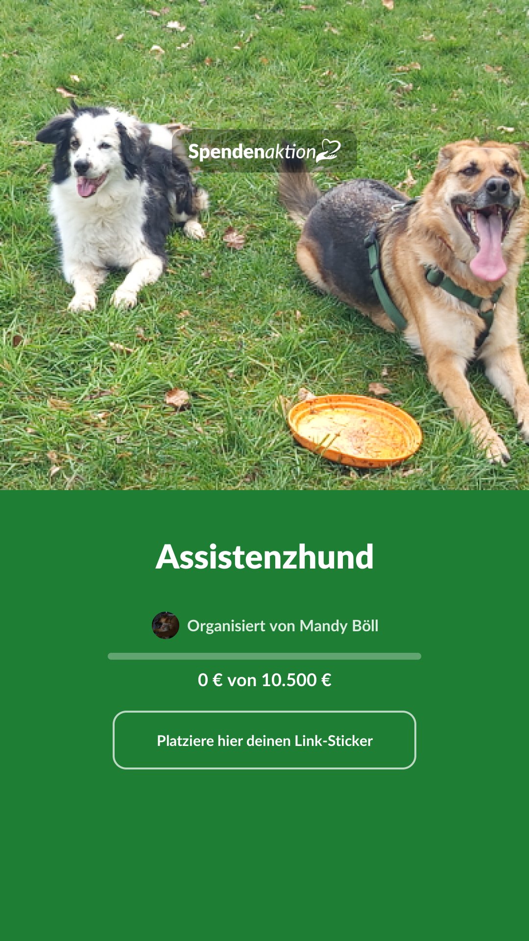 Vorschau des Bildes