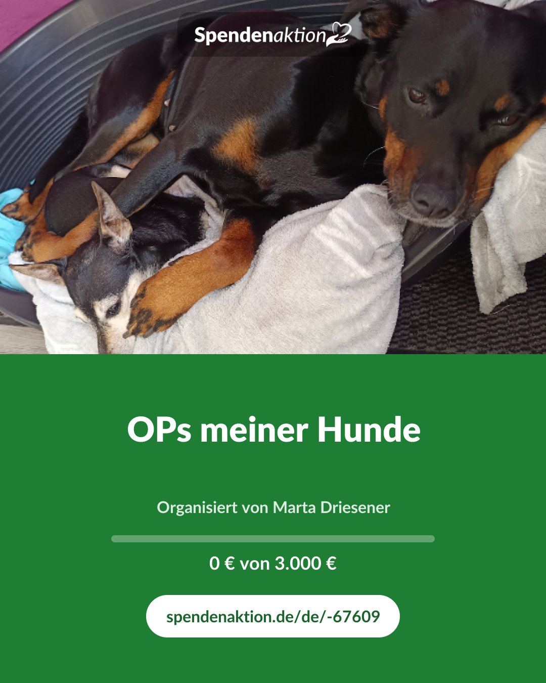 Vorschau des Bildes