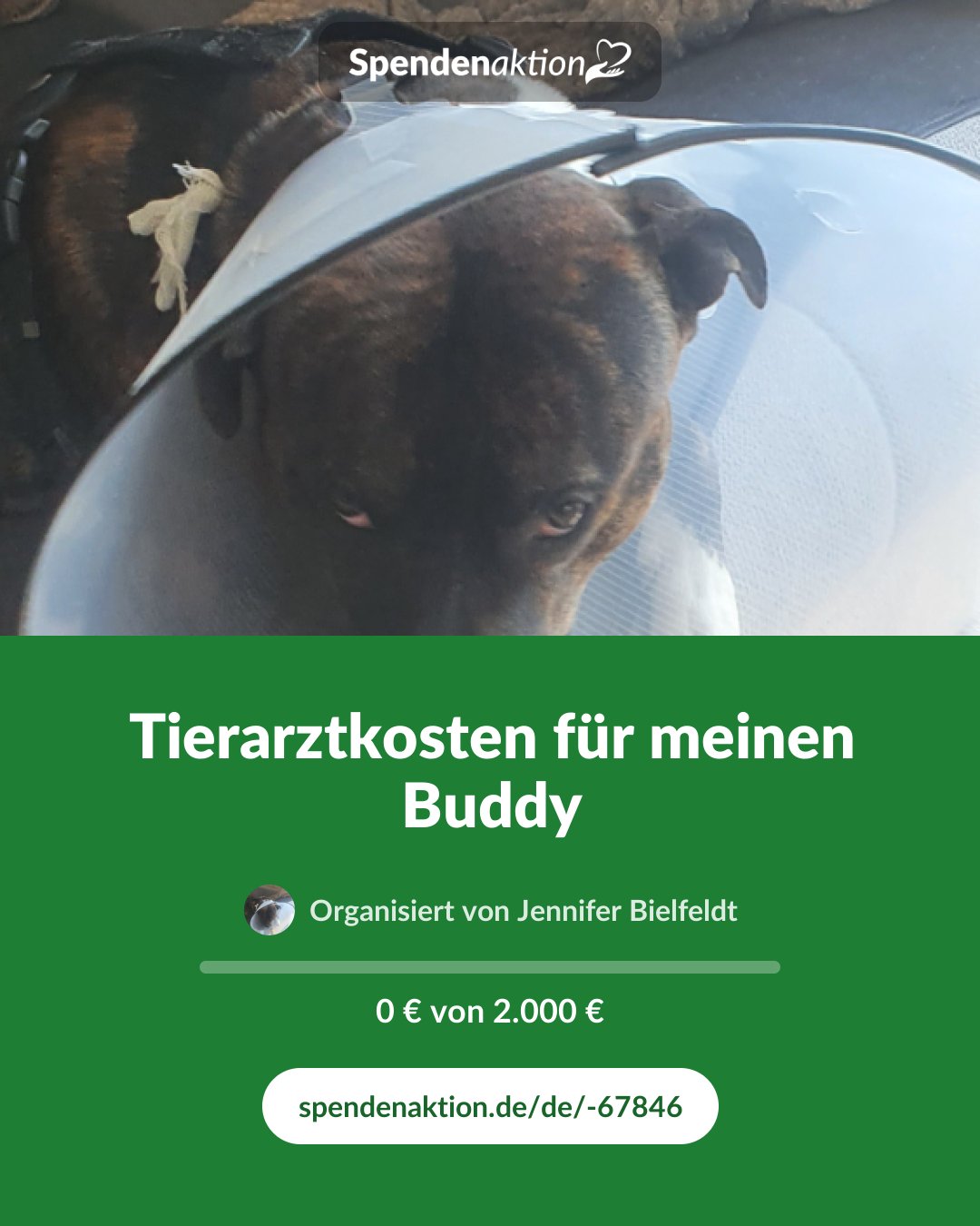 Vorschau des Bildes