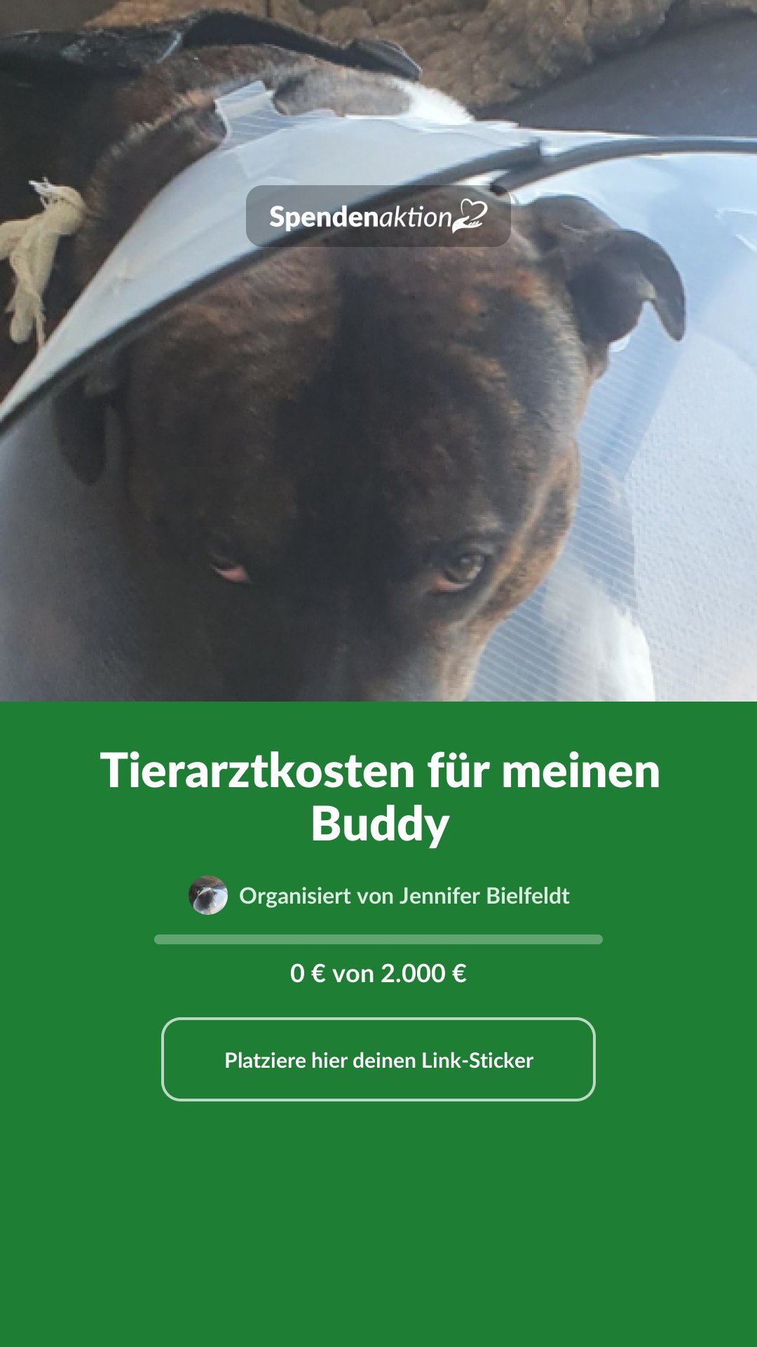 Vorschau des Bildes