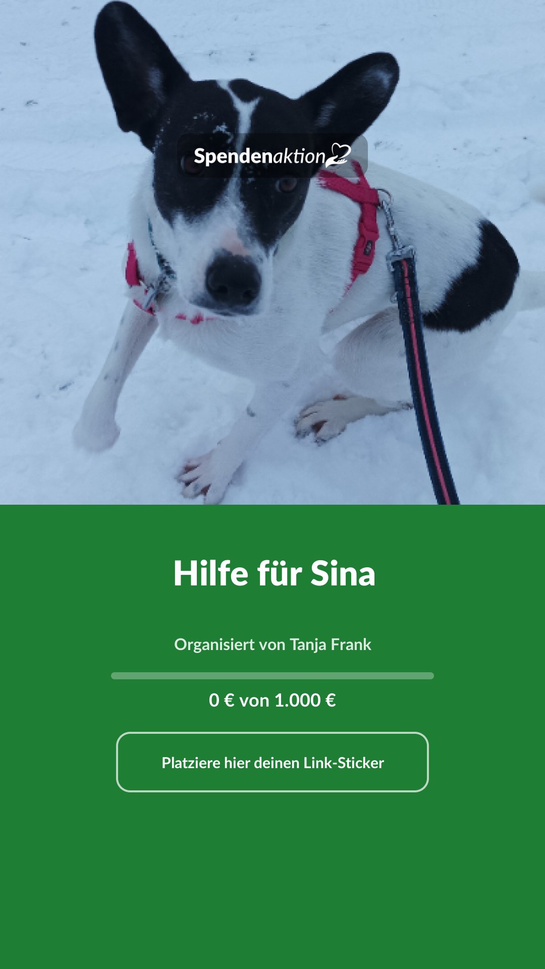 Vorschau des Bildes