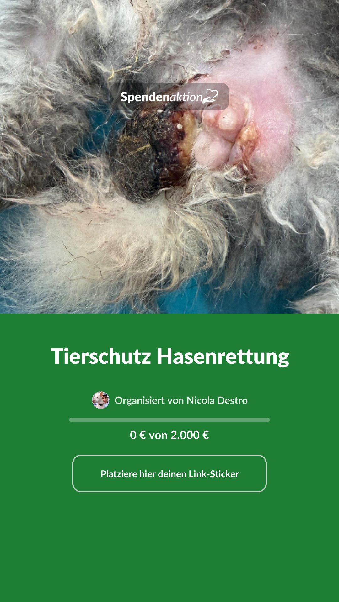 Vorschau des Bildes