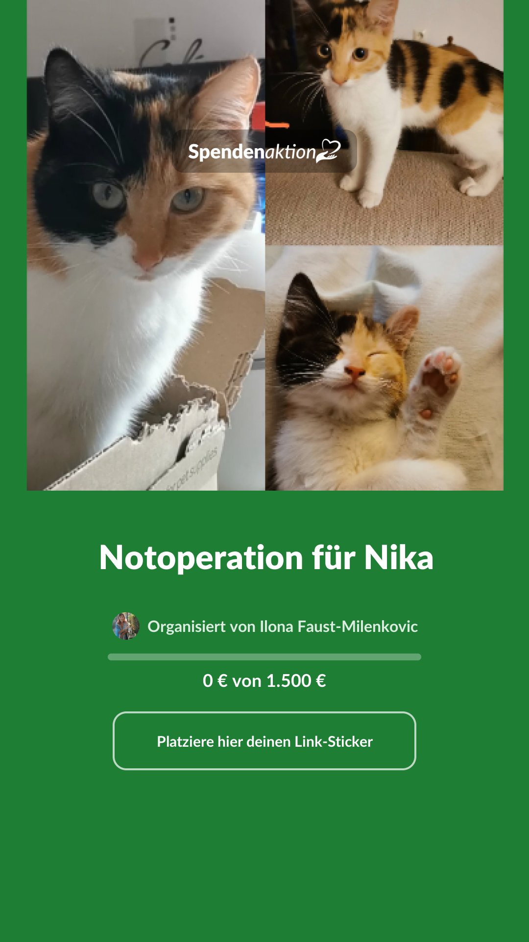 Vorschau des Bildes