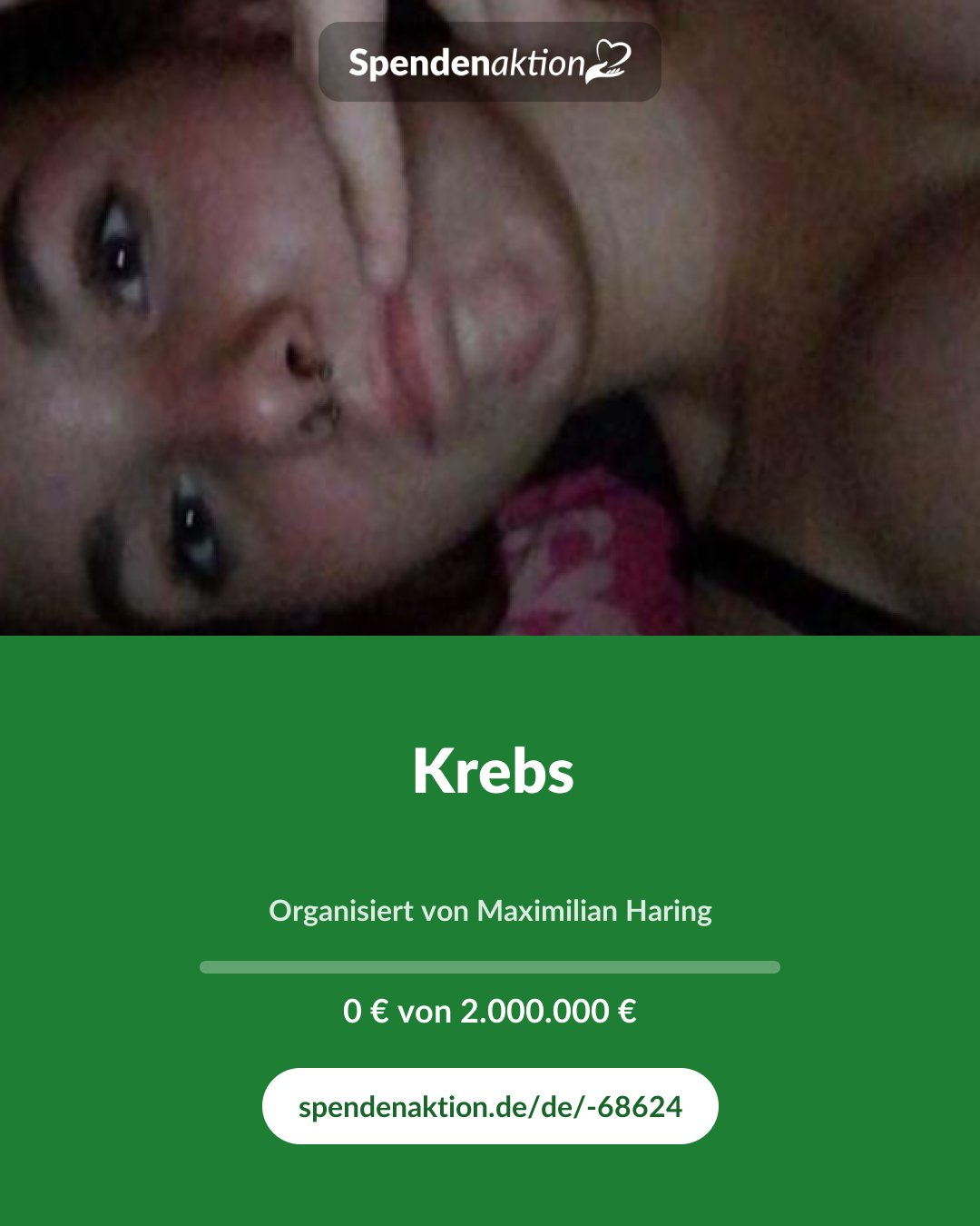 Vorschau des Bildes