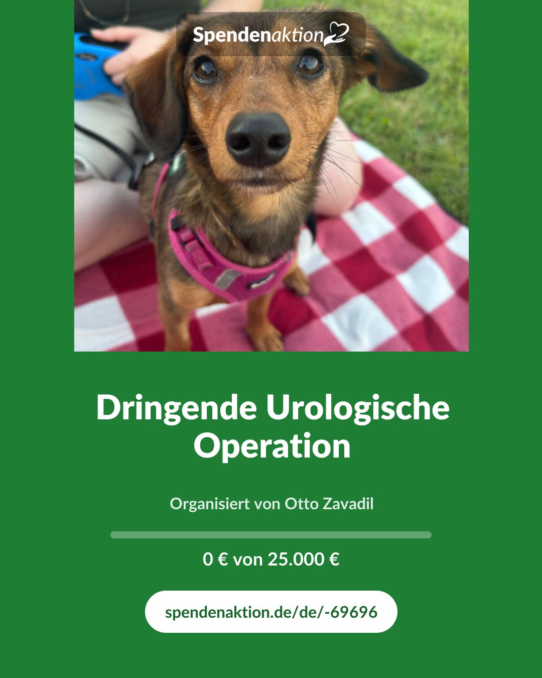 Vorschau des Bildes